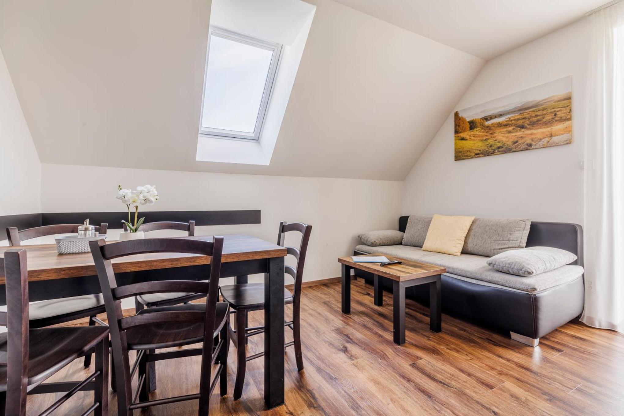HP APARTMÁNY SKIAREÁL- Buková Hora v Orlických horách 100 m od lanovky
