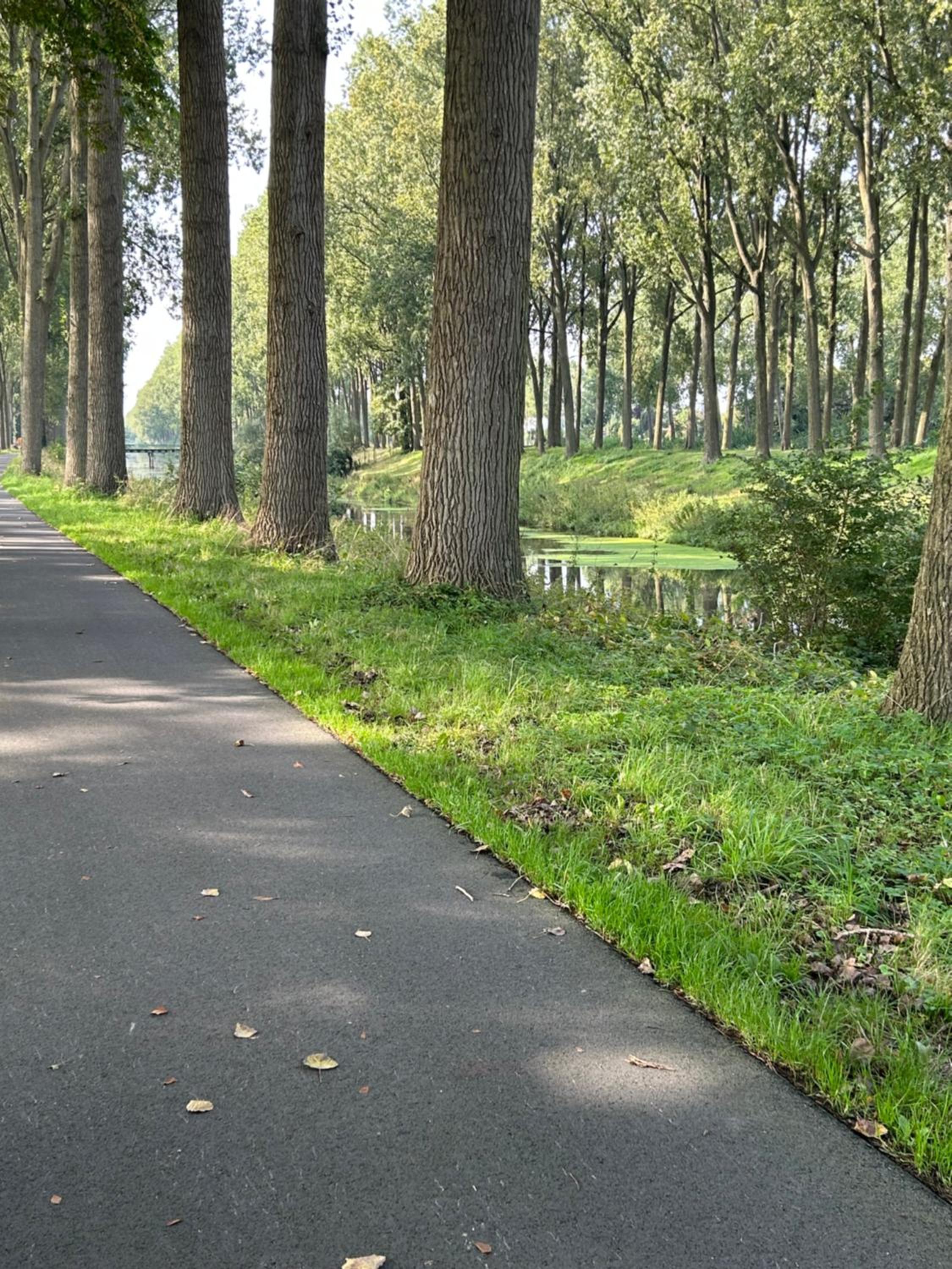 De Bijenkorf