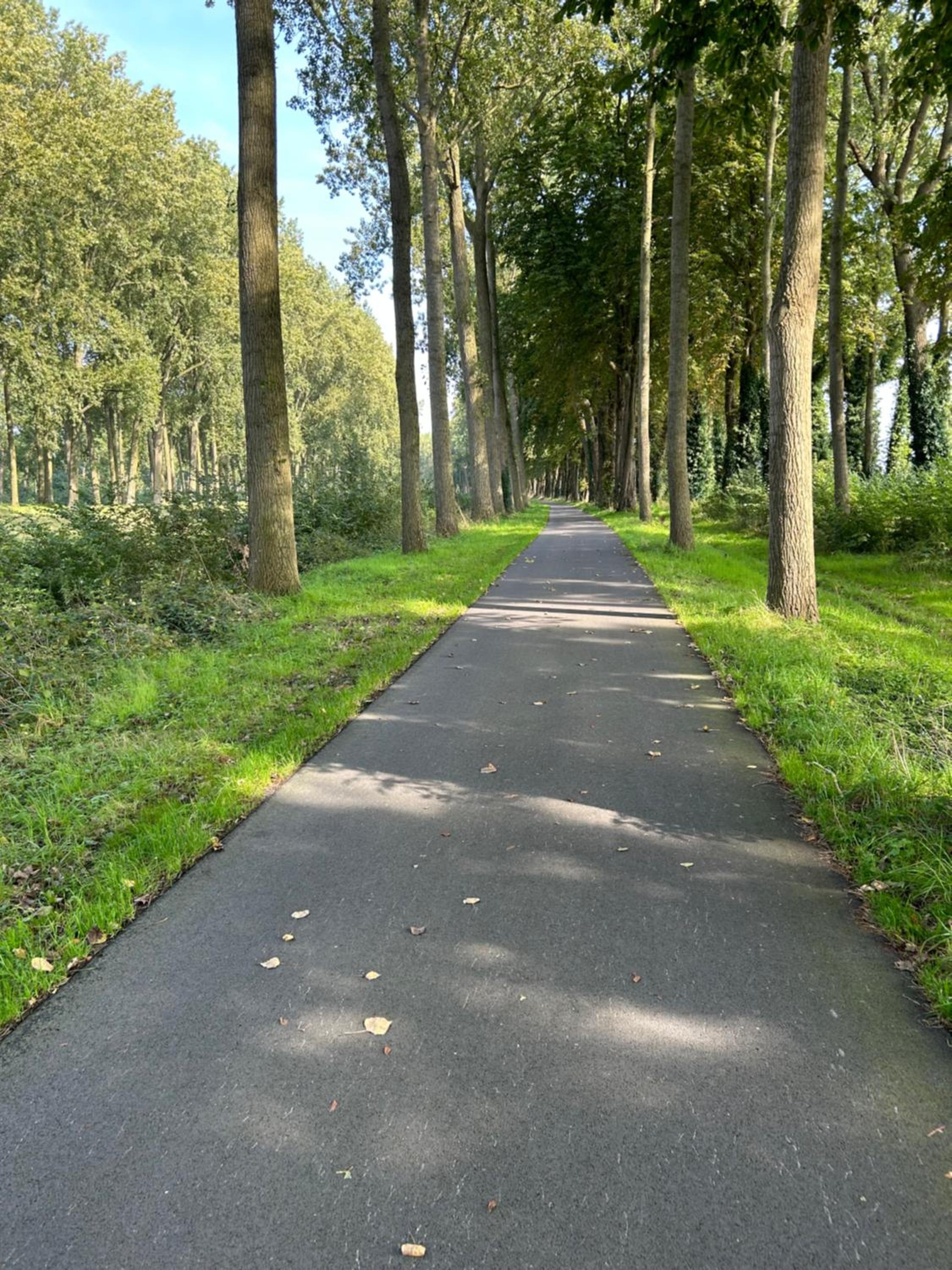 De Bijenkorf