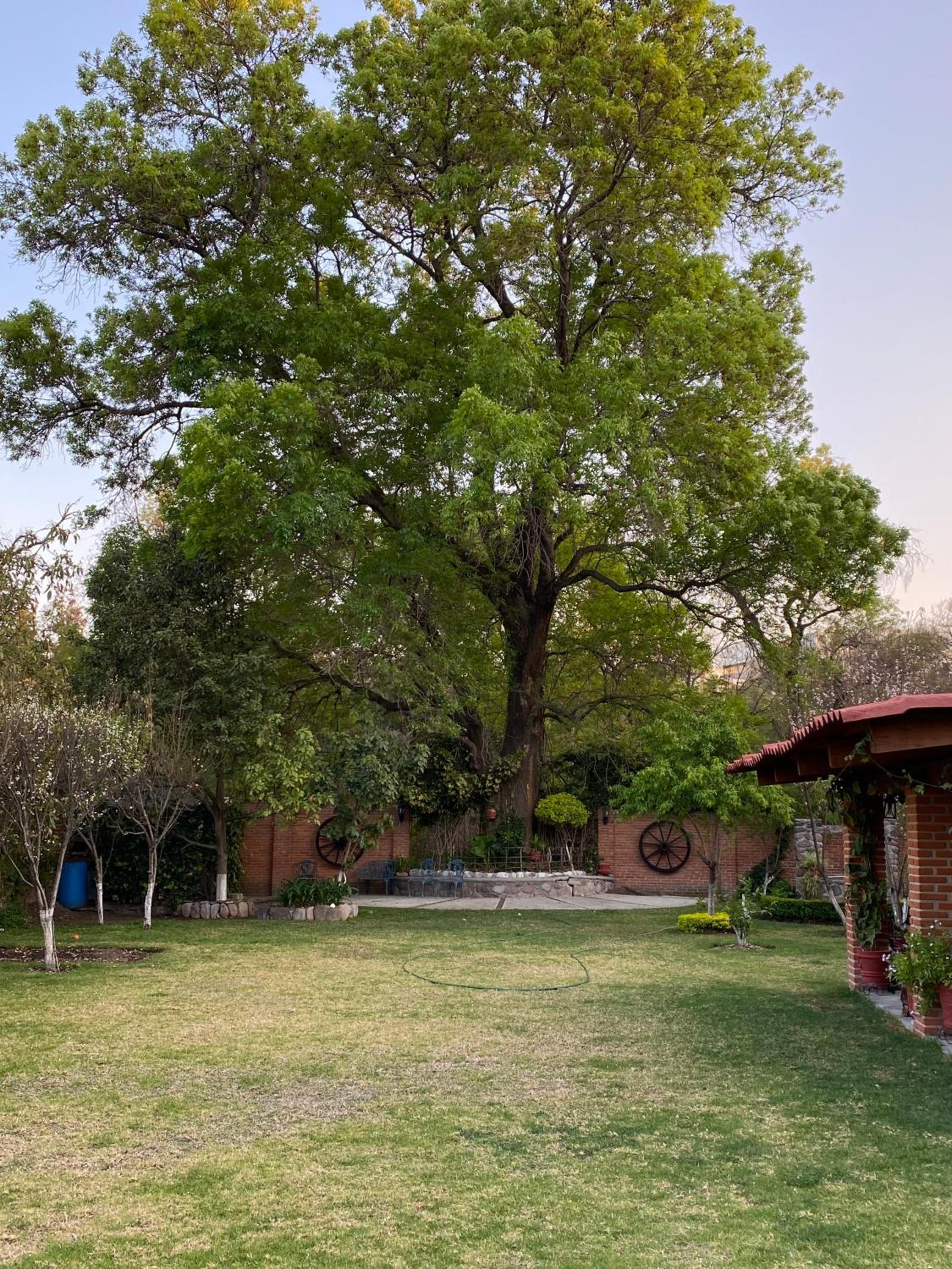 Casa de campo en Praderas, Tepeji del Río view 5
