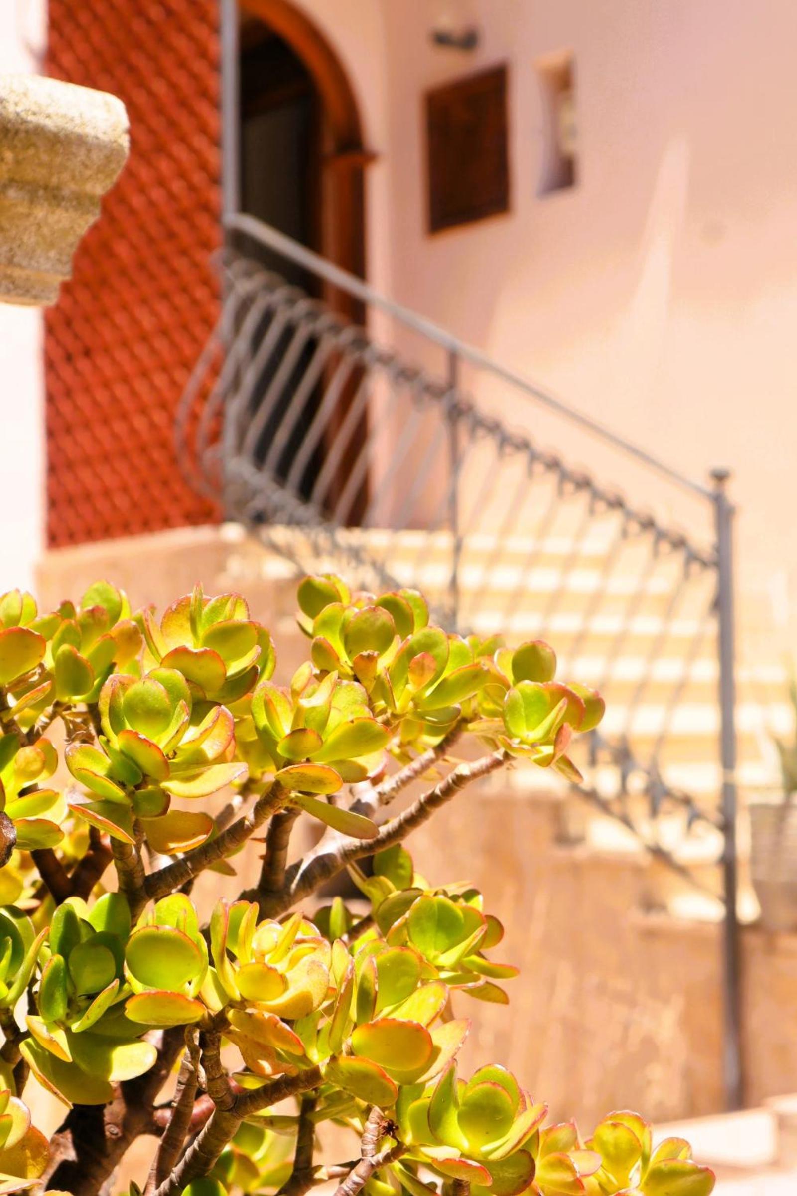 Casa Magnolia - INCANTO MEDITERRANEO vicino al MARE