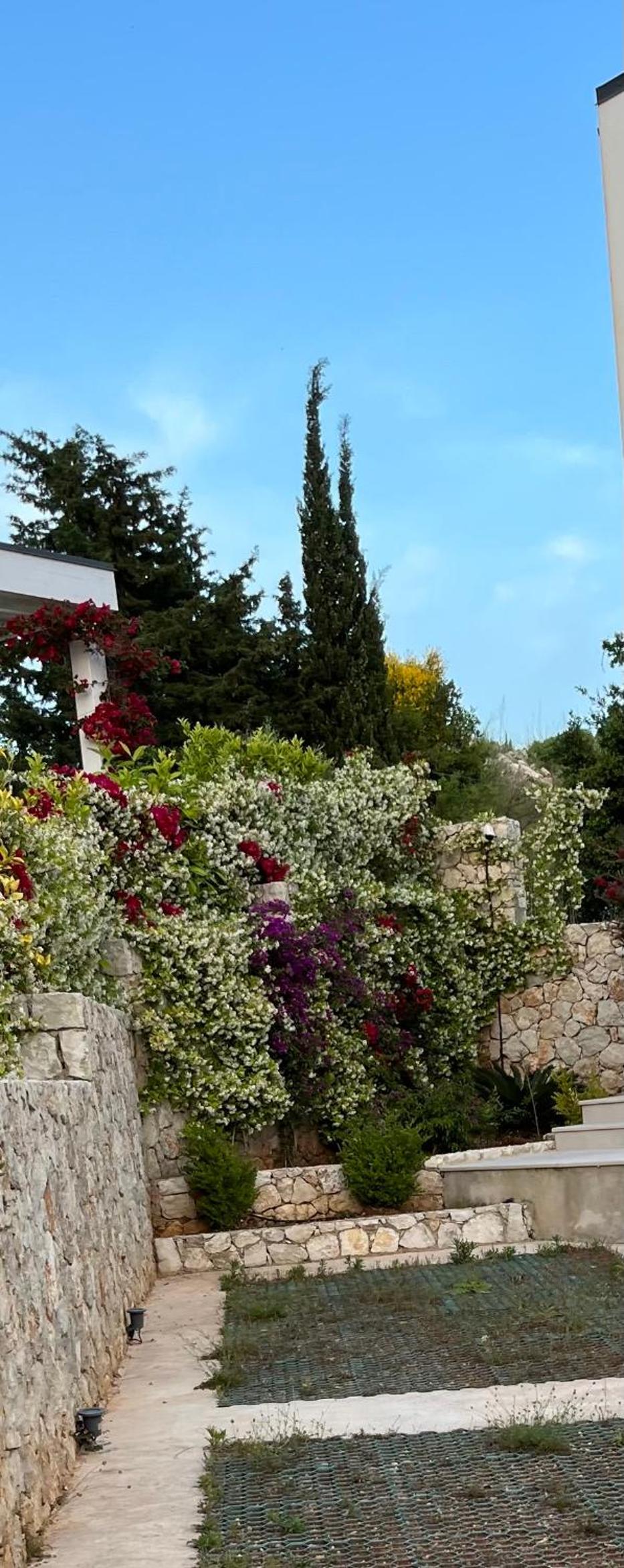 White Rocks Edera 2 I