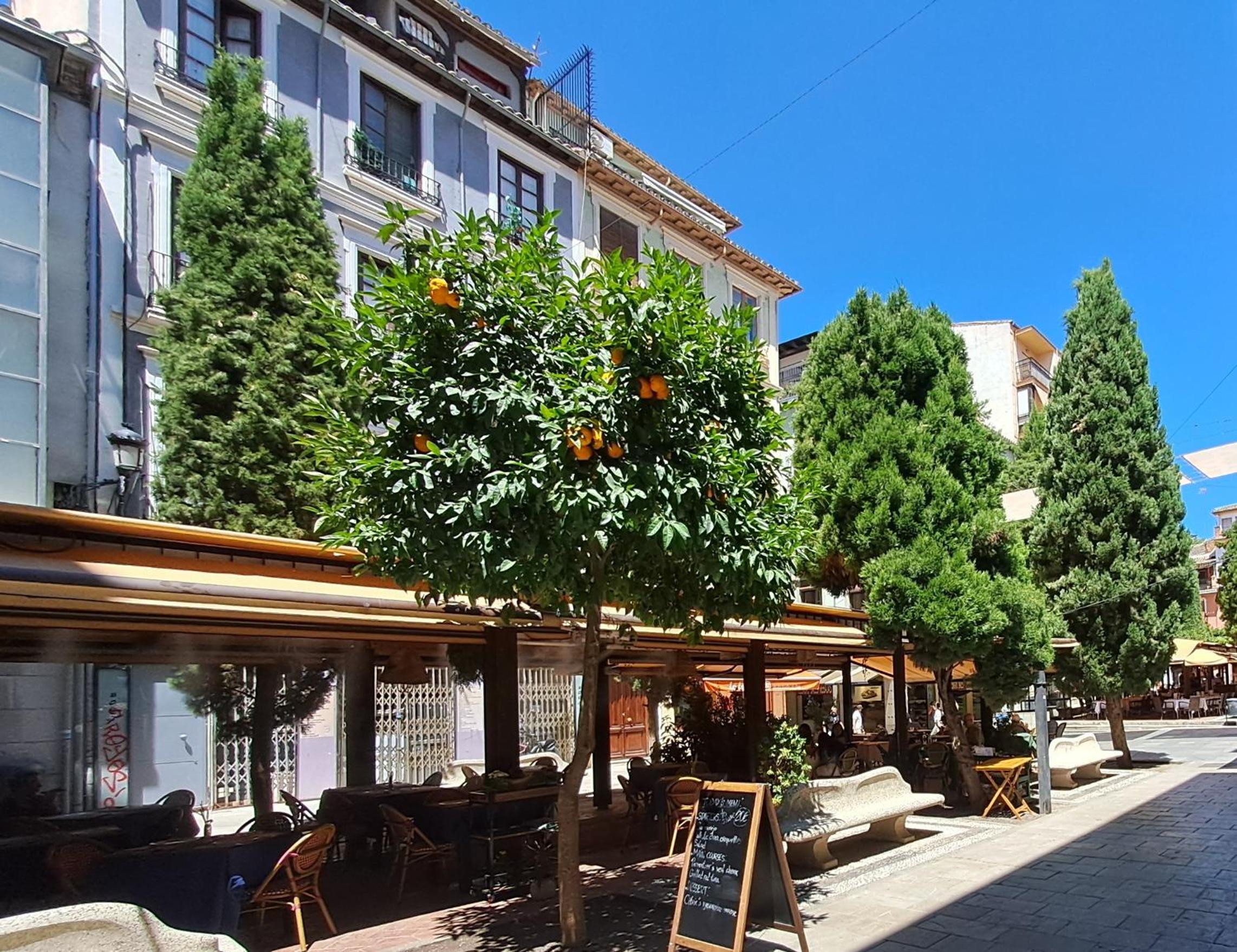 ApartaSuite Centro Histórico Ático tranquilo y luminoso en el corazón de Granada view 4