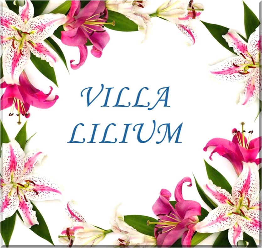 Villa Lilium photo 5
