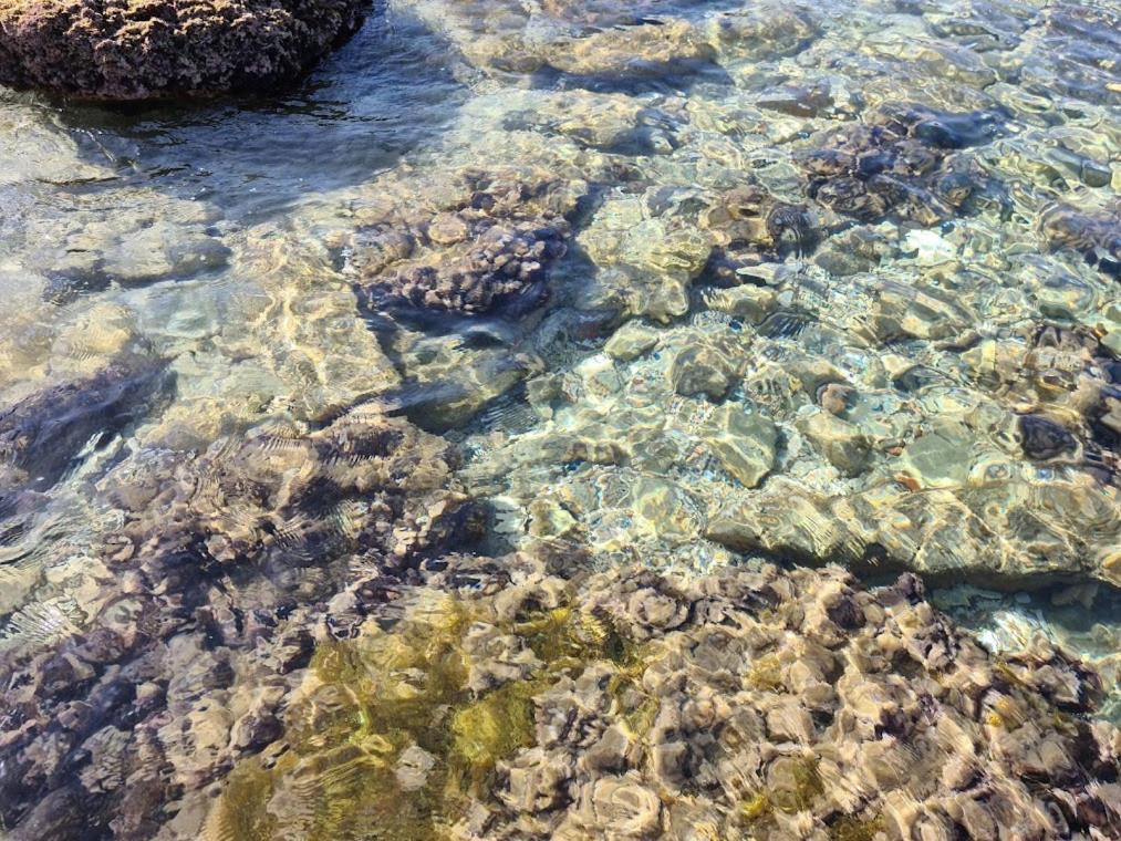 Villa Lilium photo 3