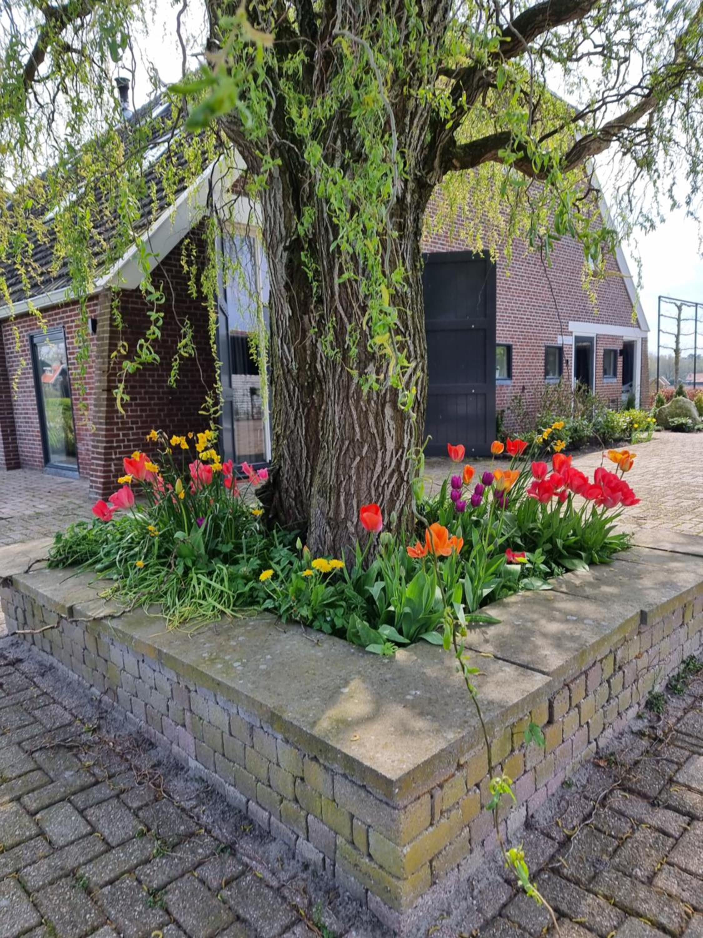 De Schotse Hooglander view 2
