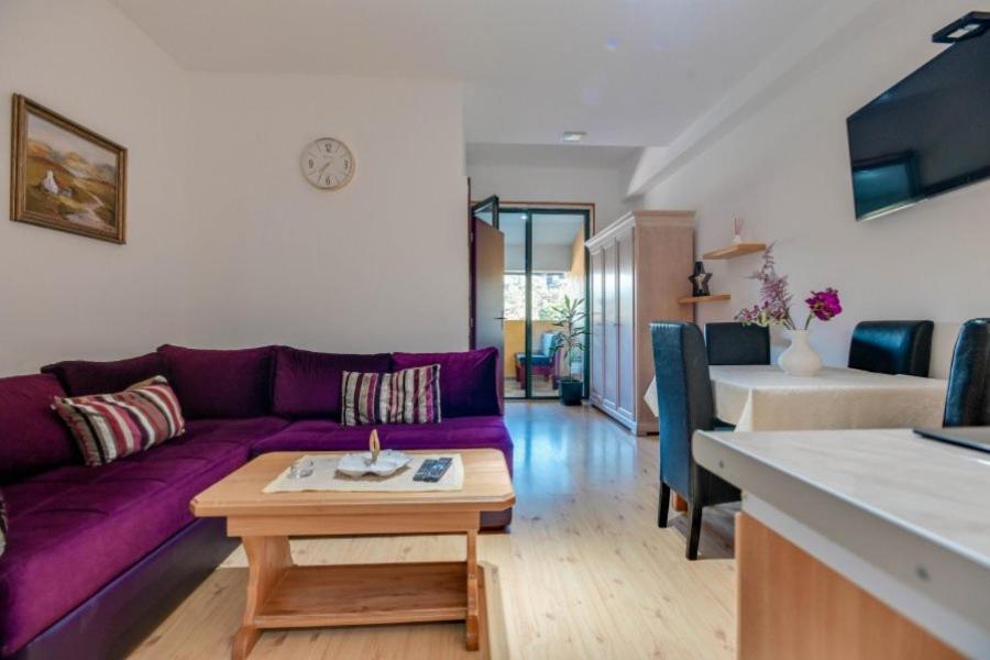 Apartmani Trg view 4