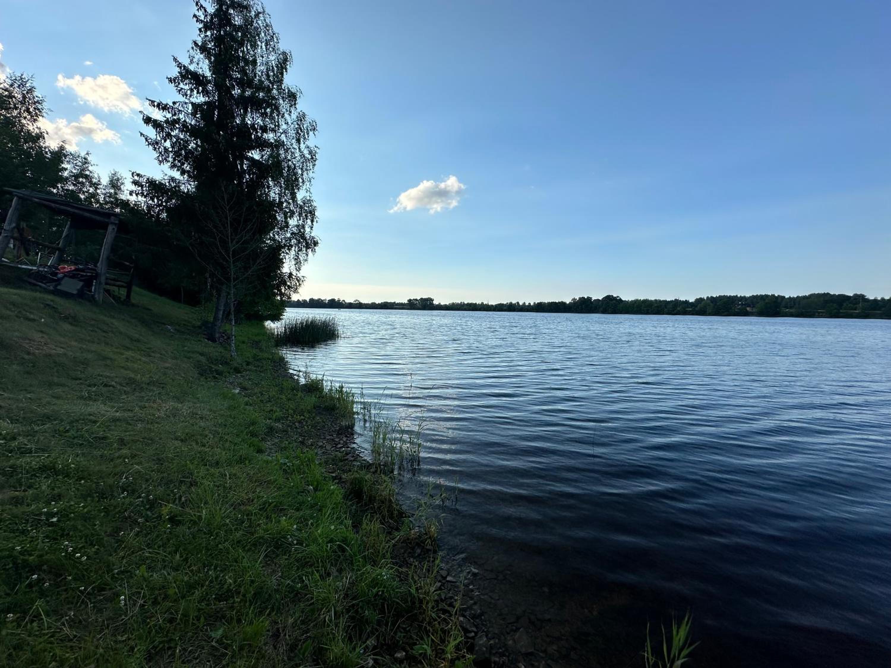 Briedīši