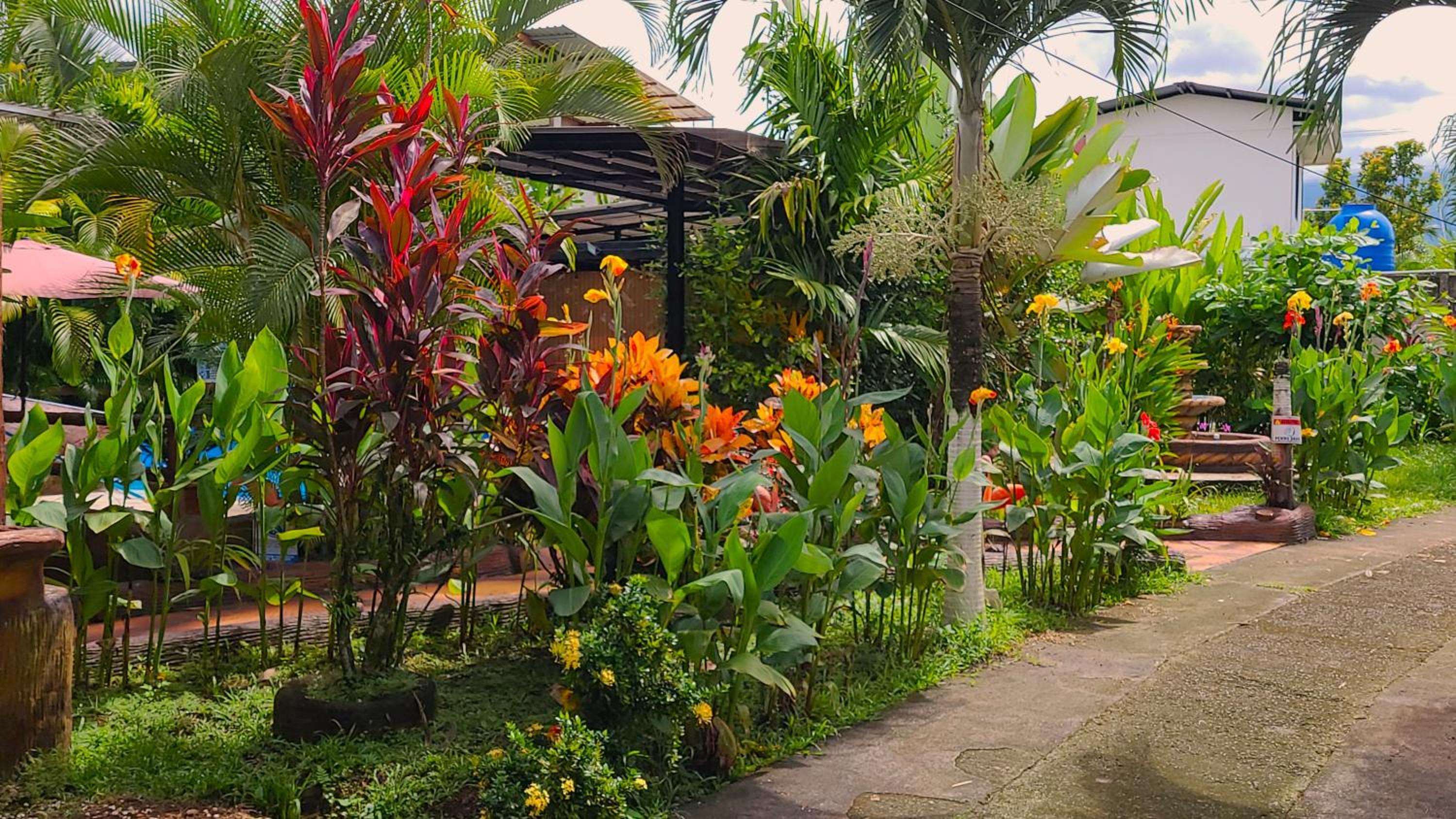 Arenal Family Retreat