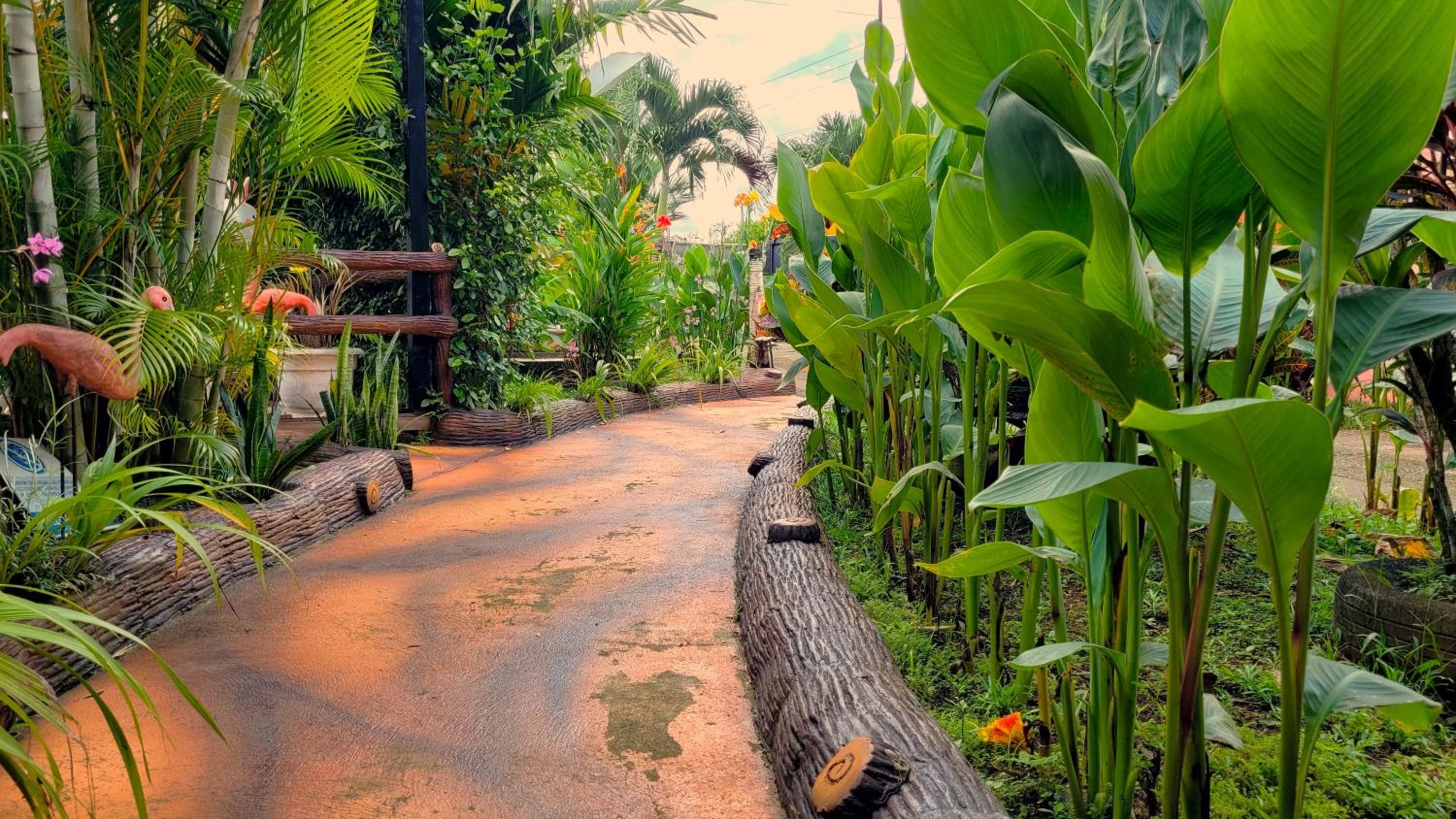 Arenal Family Retreat