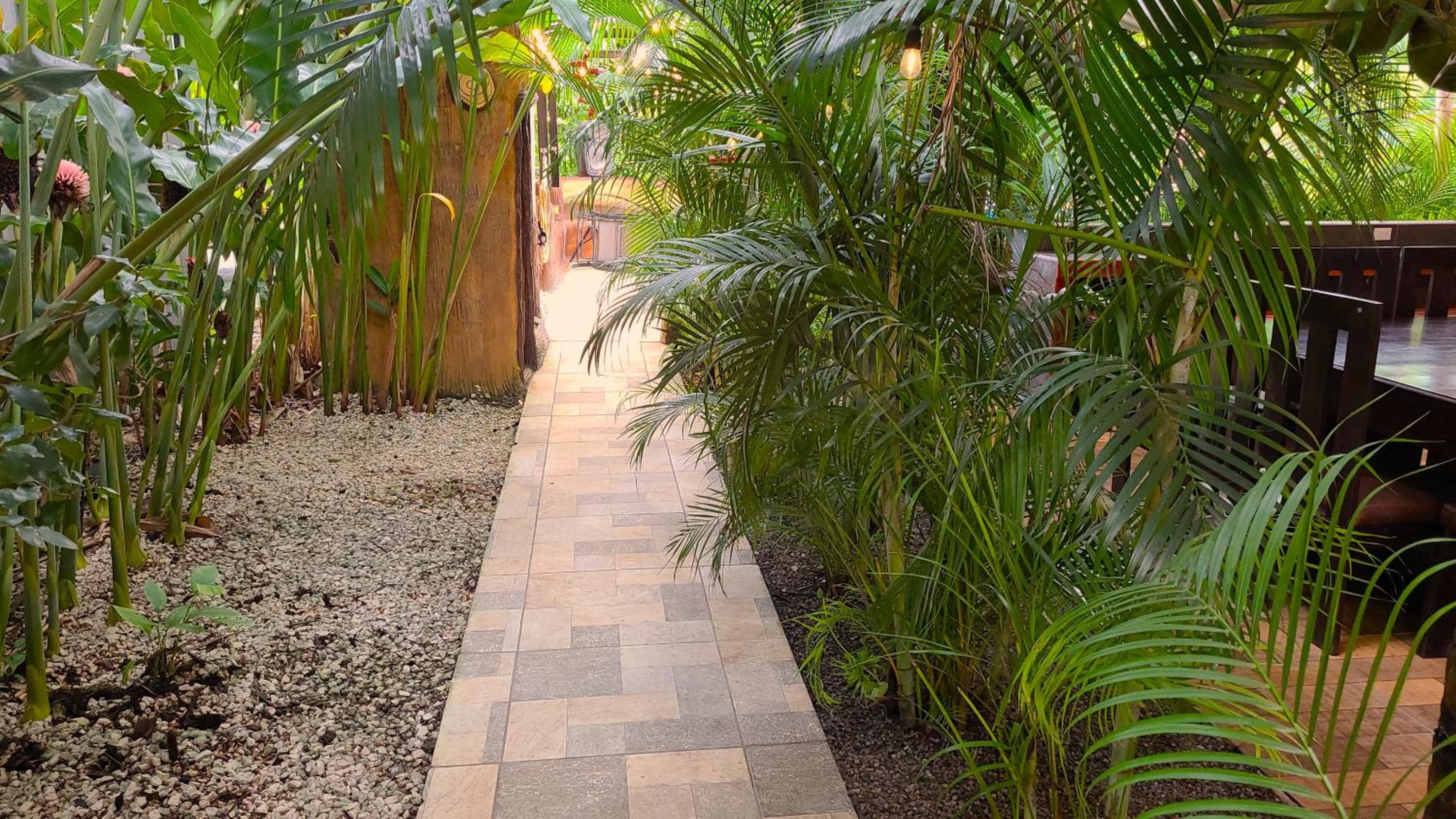 Arenal Family Retreat