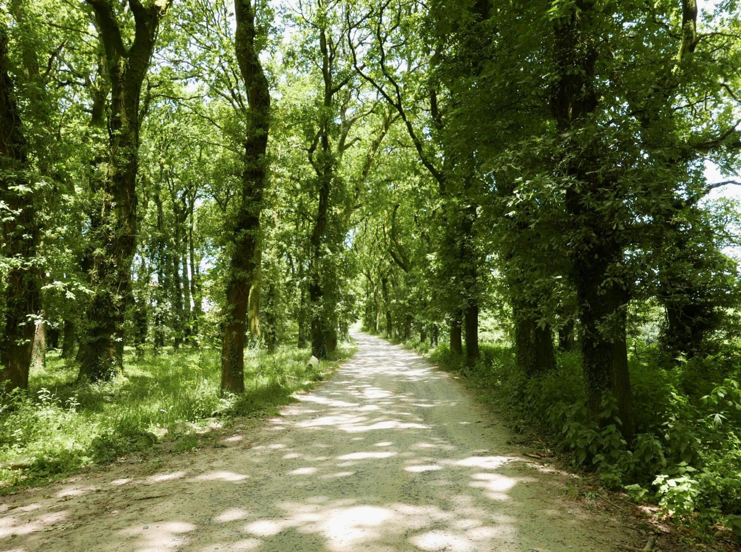 Hotel Pazo de Bieite - Property Image 2