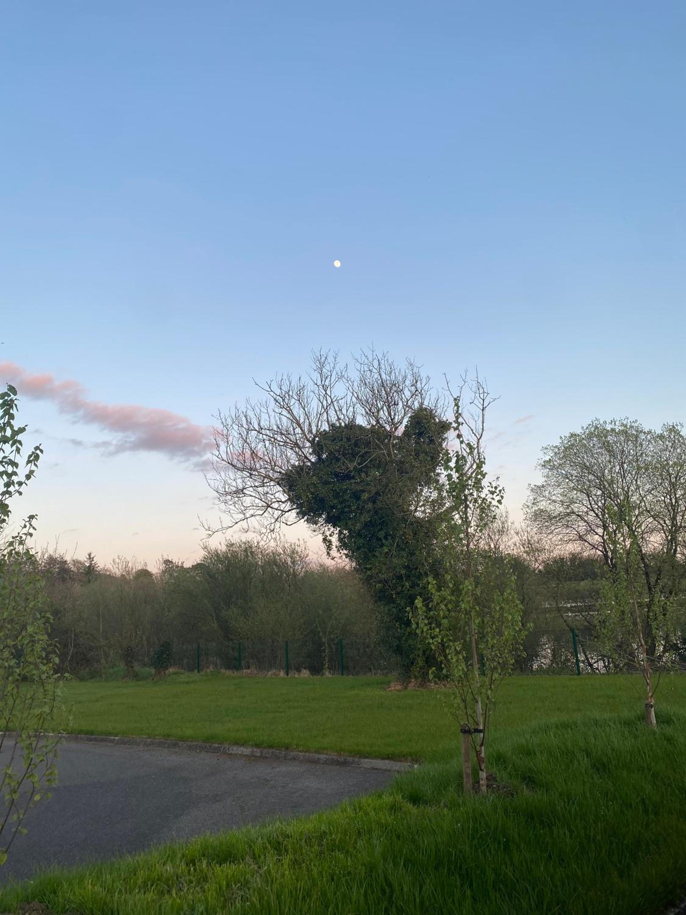 Killyfole lakeside lodges