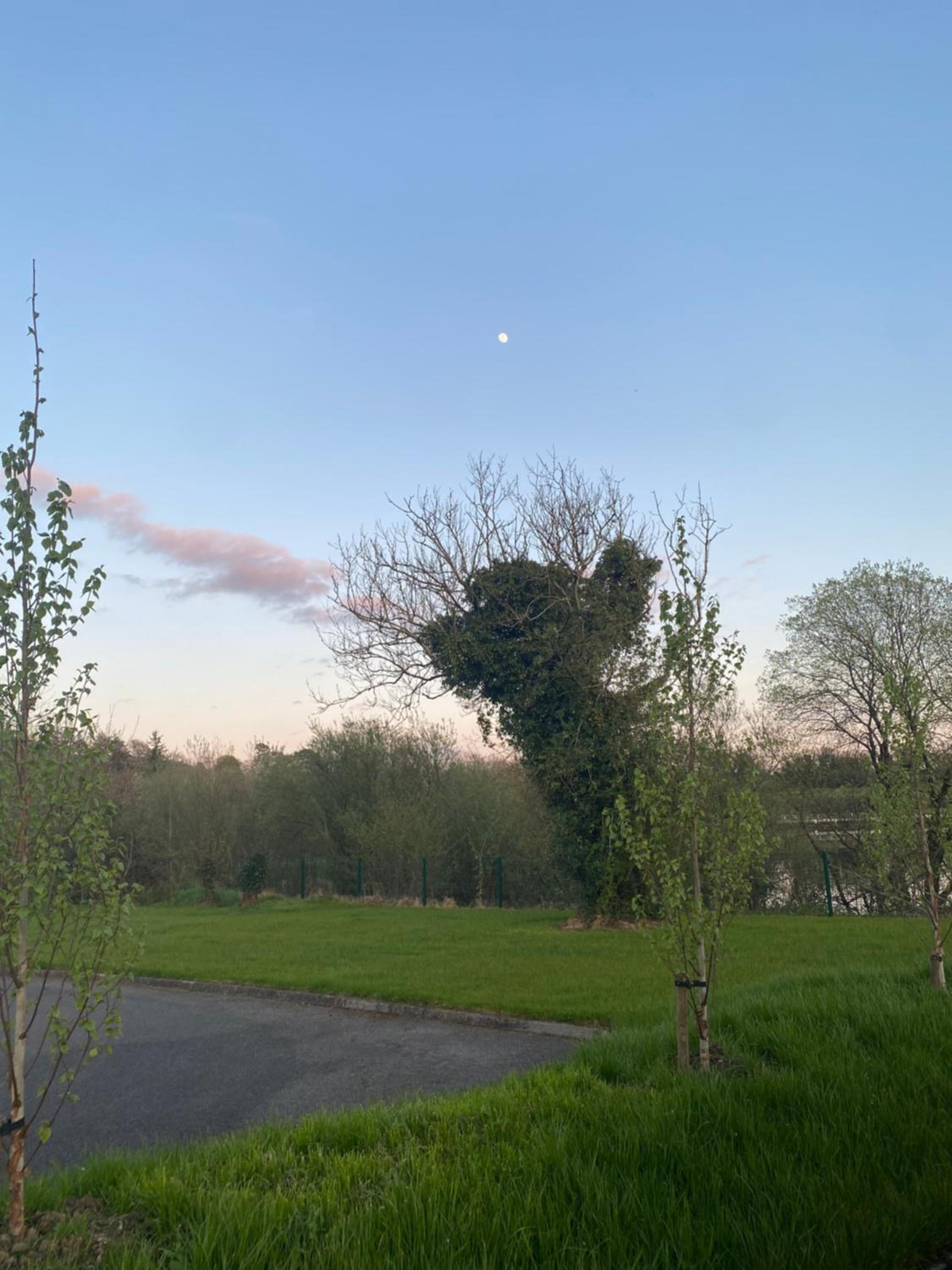 Killyfole lakeside lodges