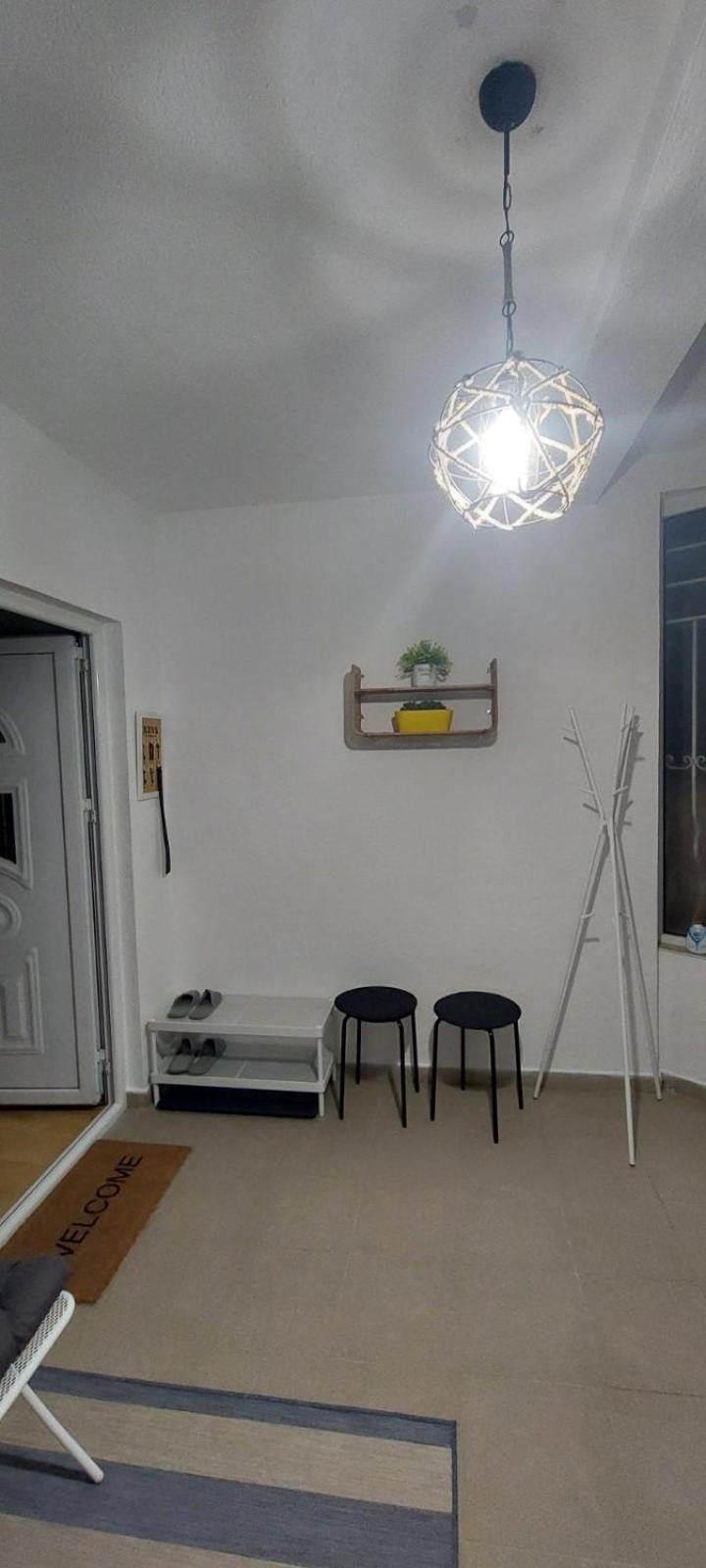 Knezevic House