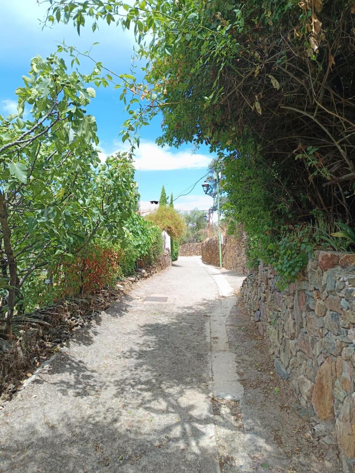 Casa Rural El Olivo