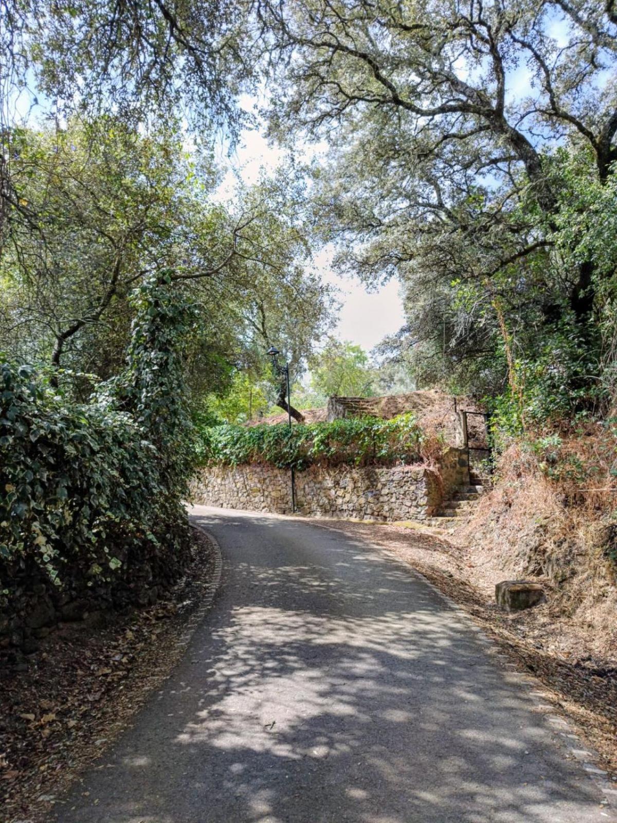 Casa Rural El Olivo