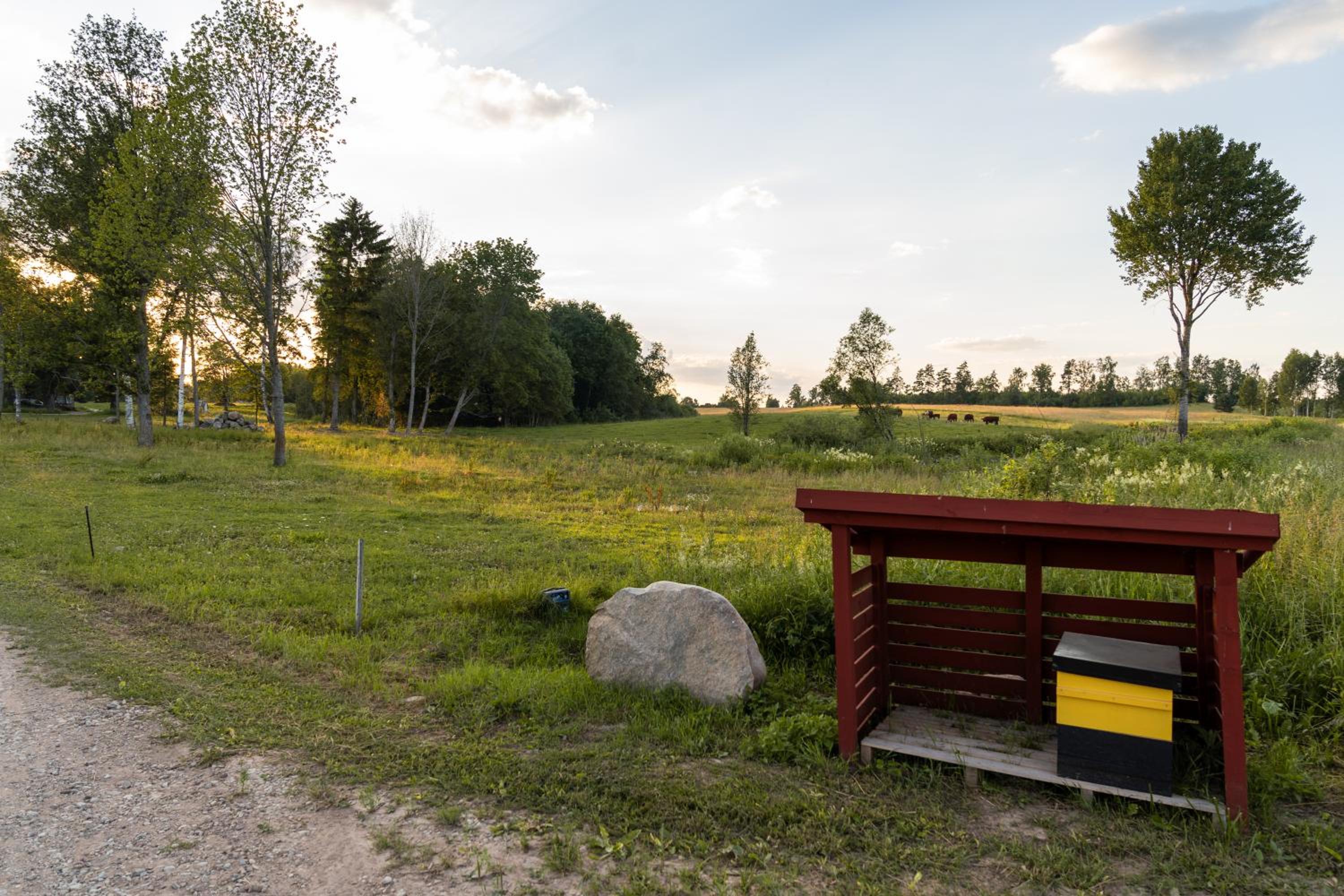 Countryside tent near Tõrva