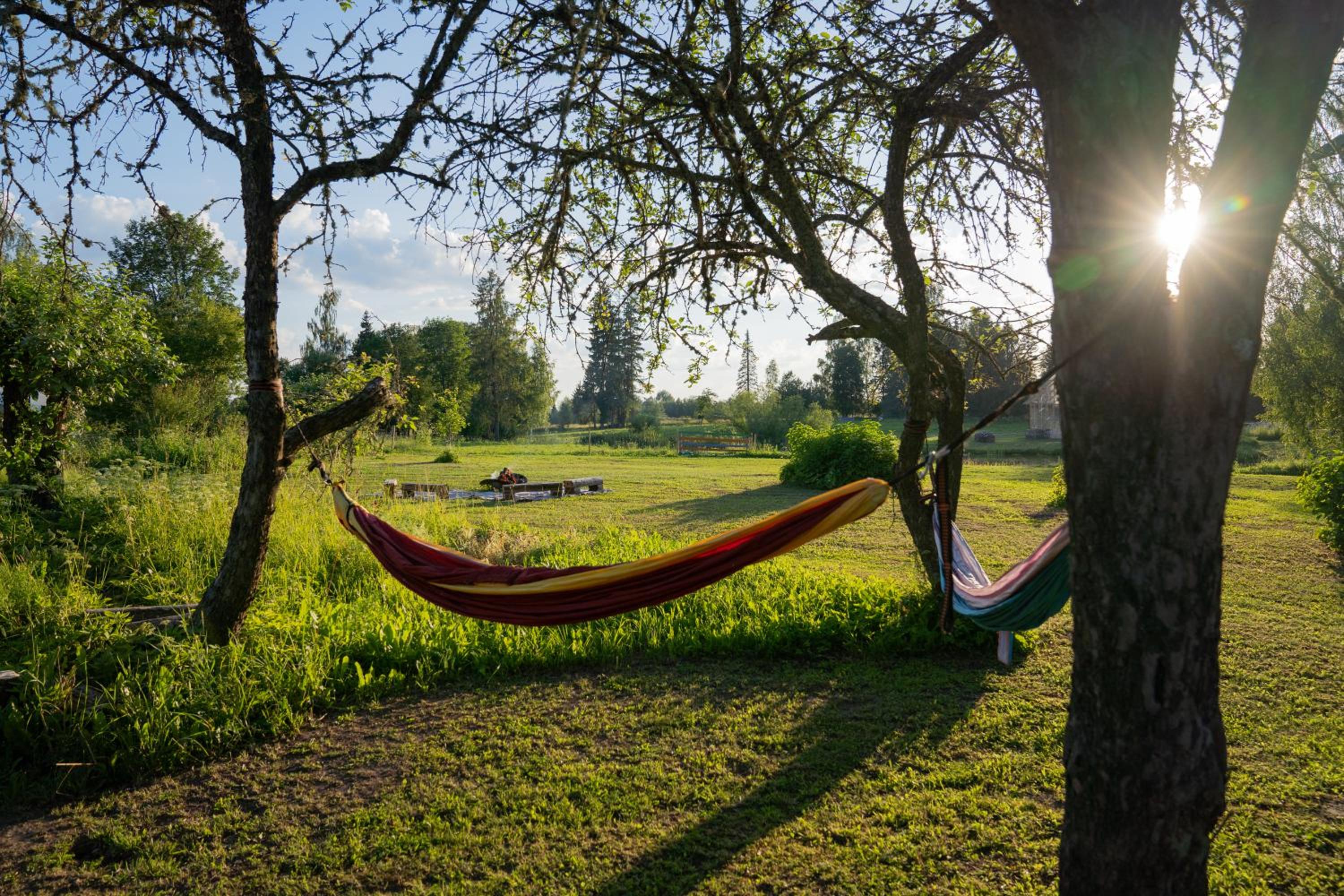 Countryside tent near Tõrva