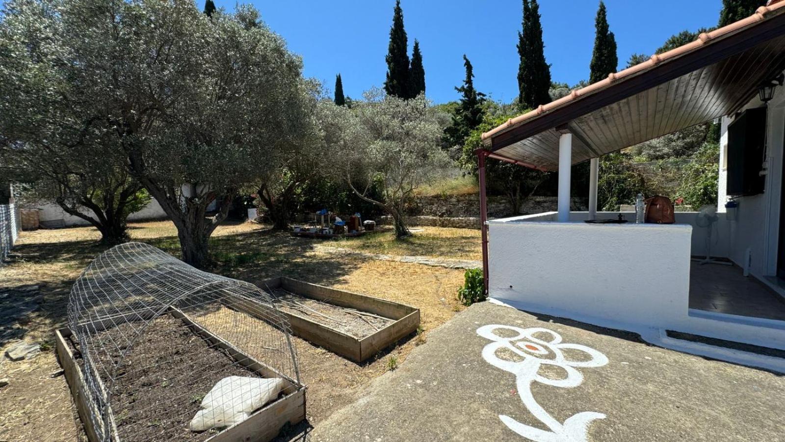 Olive Casa