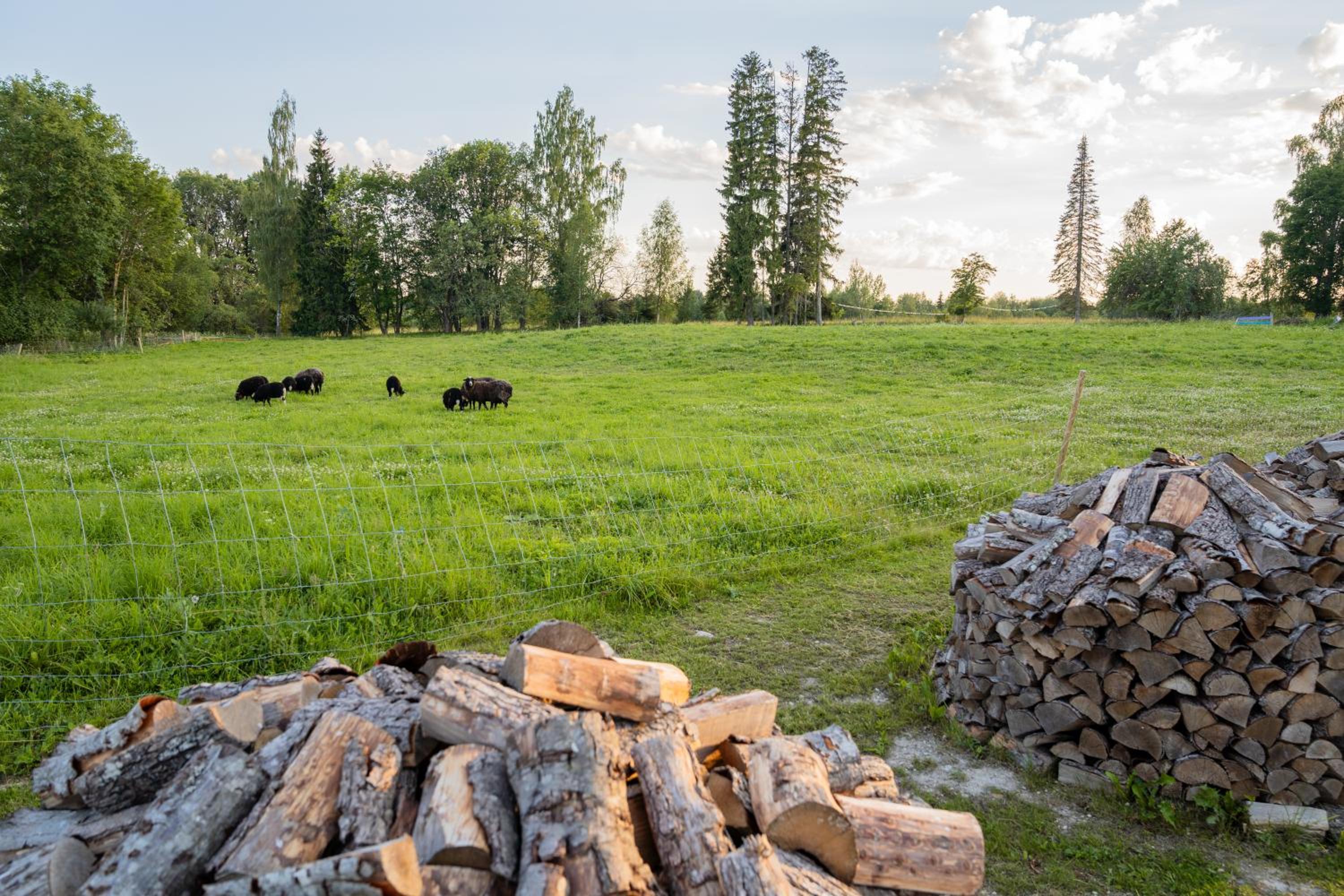 Countryside tent near Tõrva