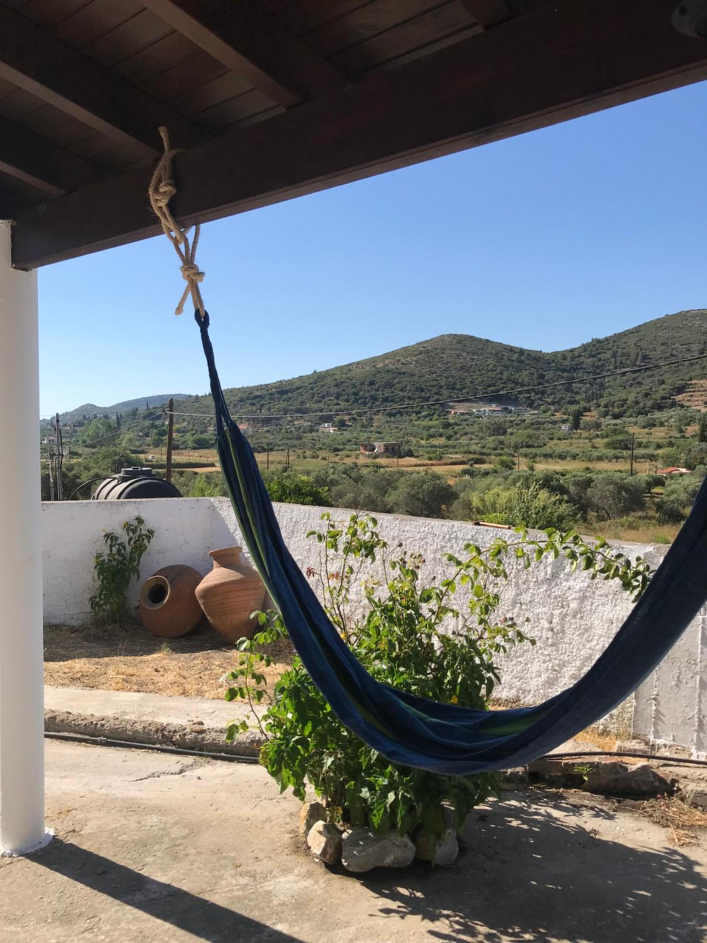 Olive Casa