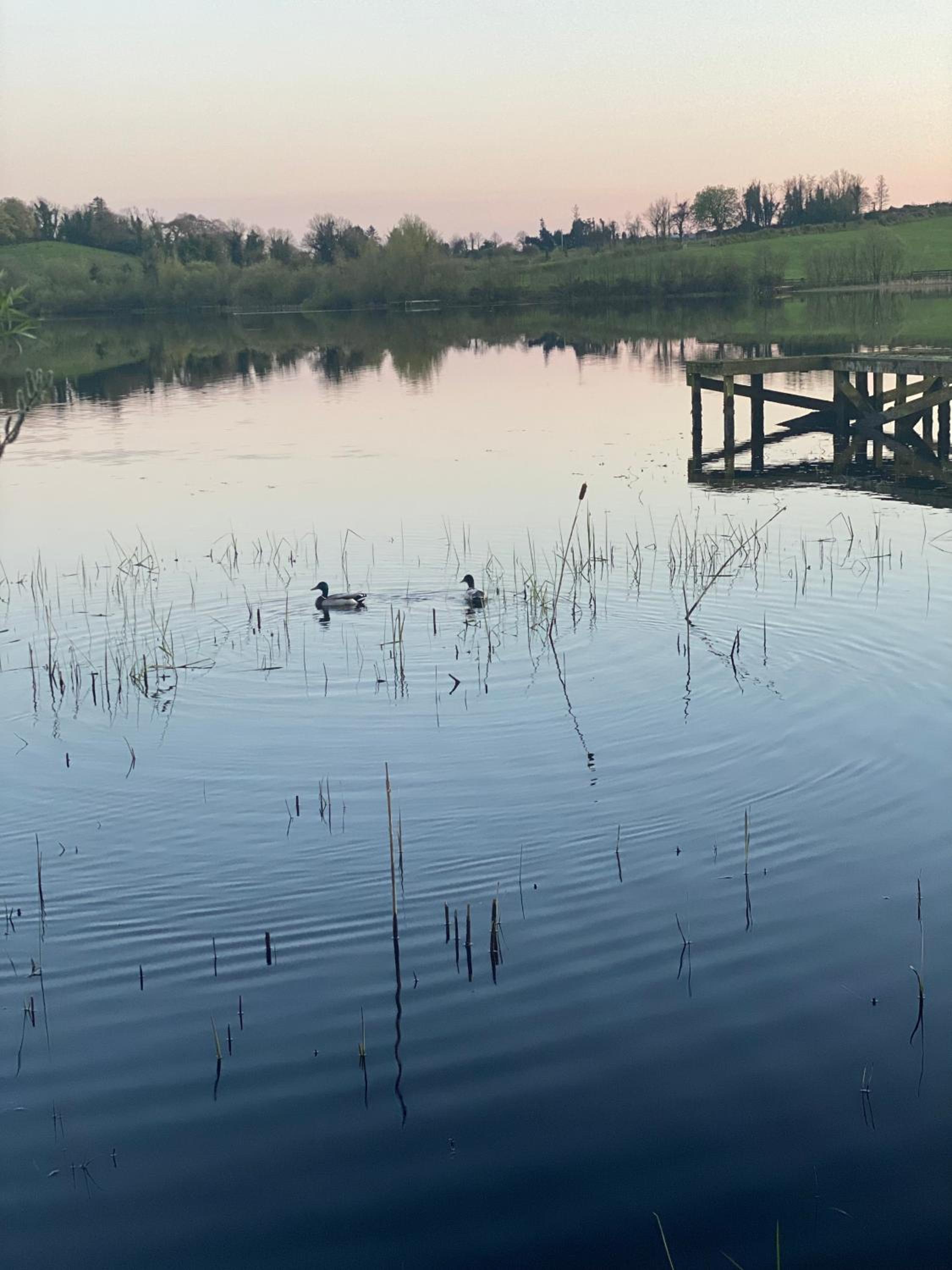 Killyfole lakeside lodges
