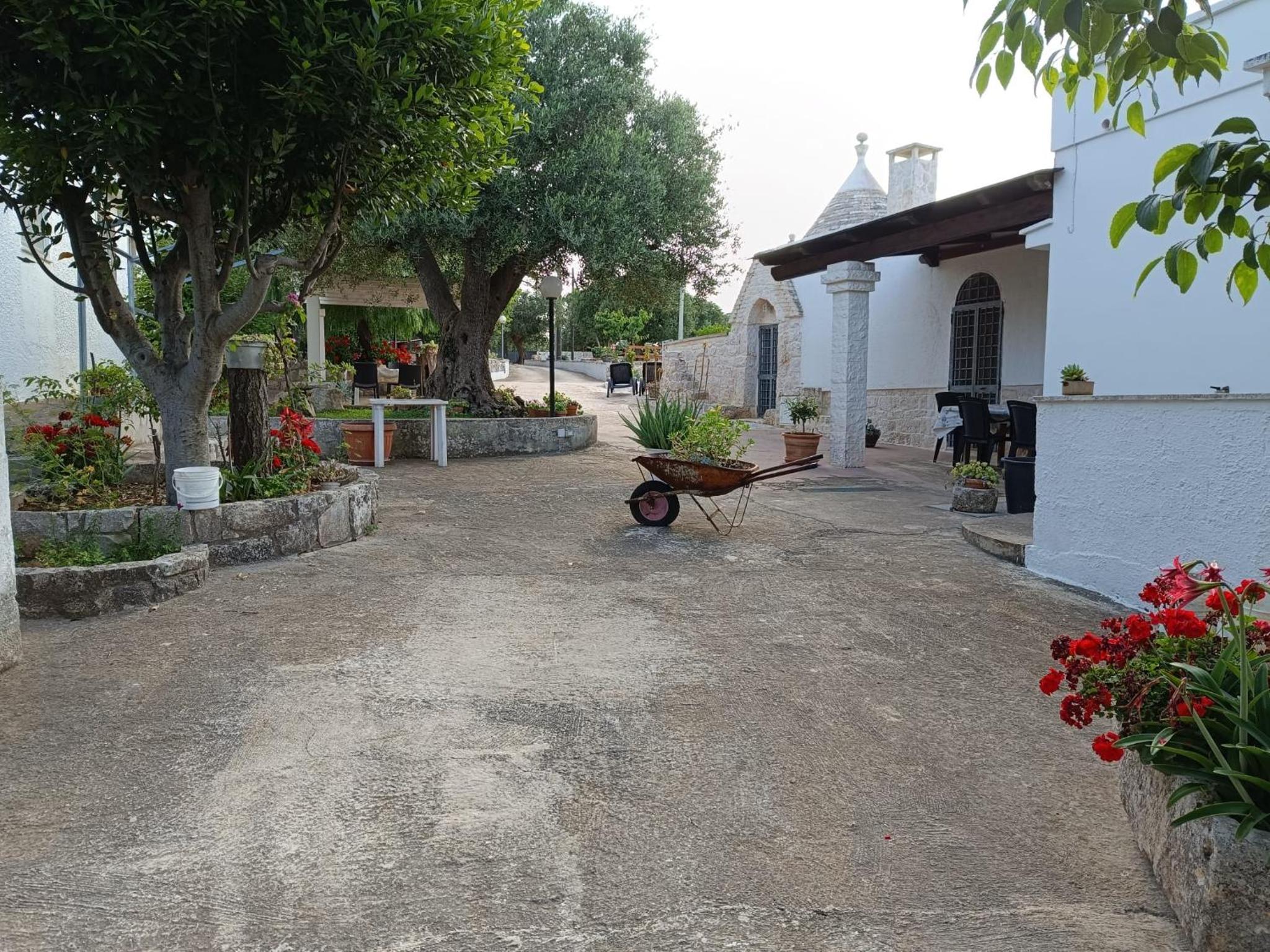Photo 29