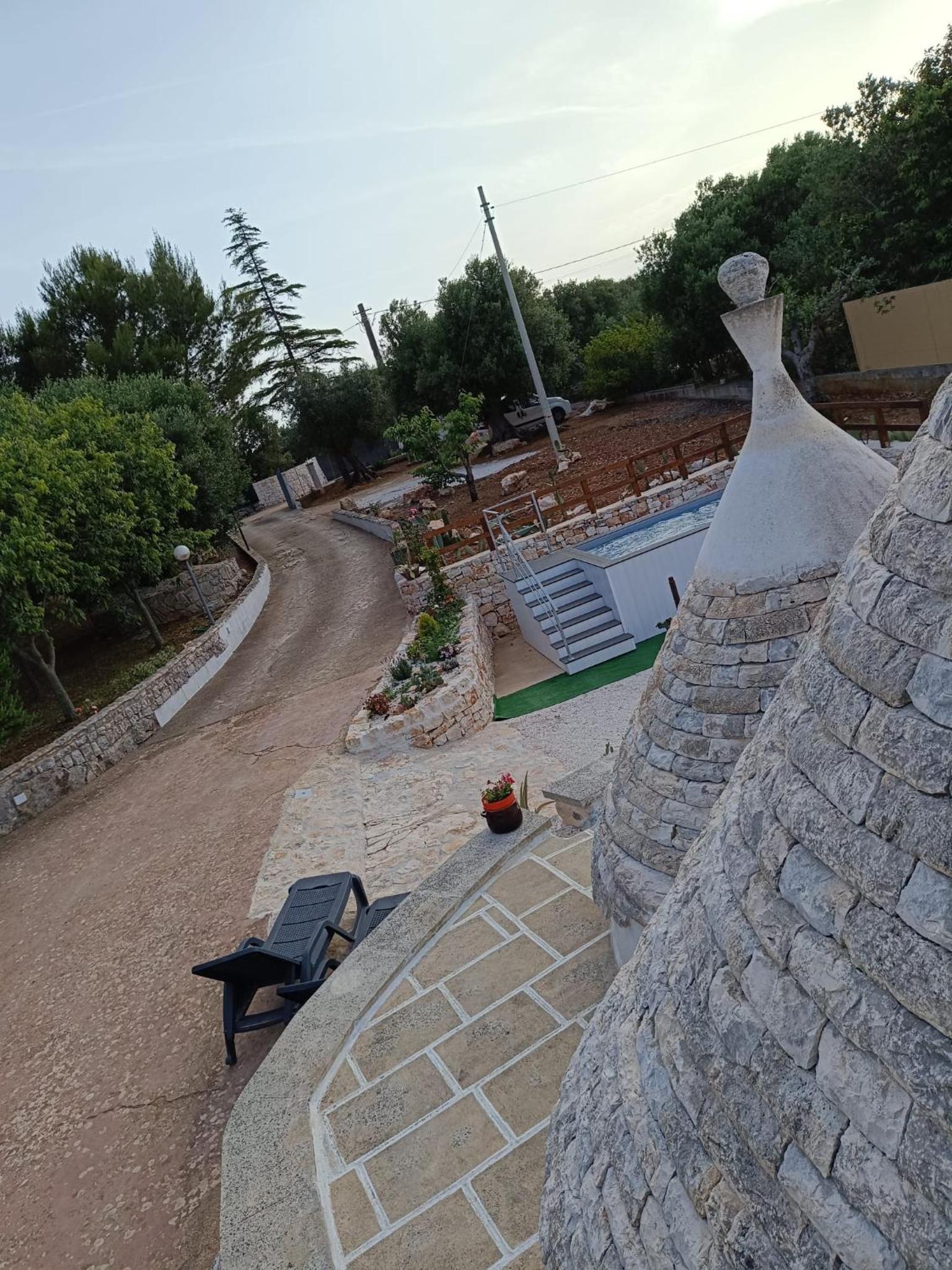 Photo 41