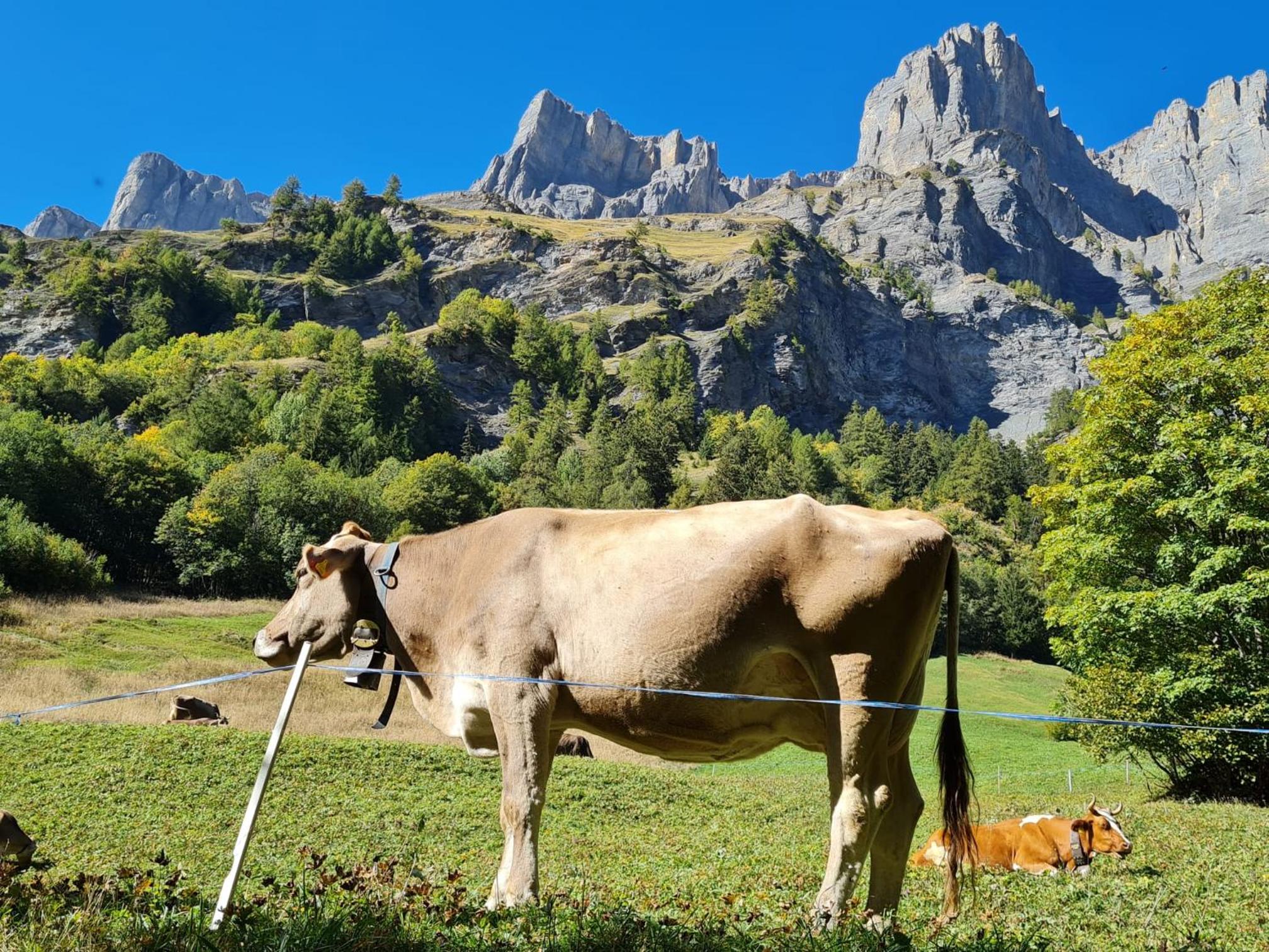 Bellathos