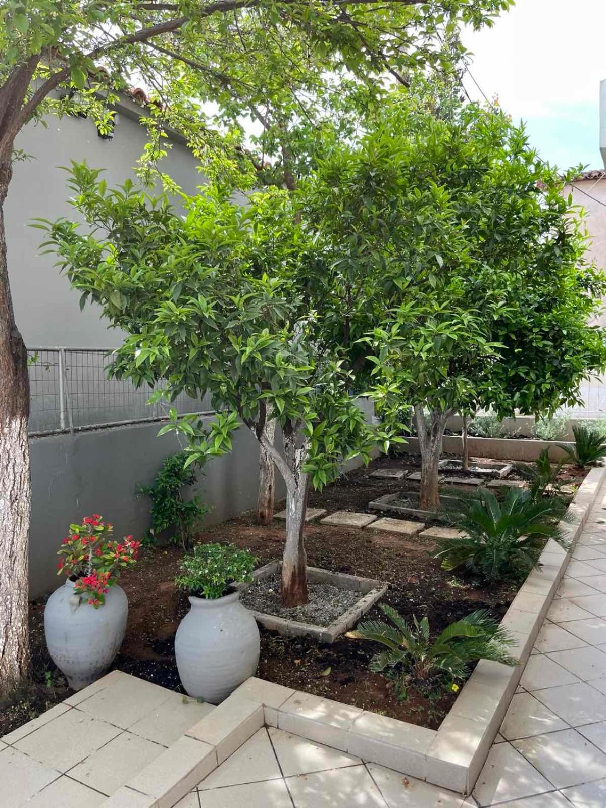 Super renovated maisonette - Σούπερ ανακαινισμένη μεζονέτα view 3