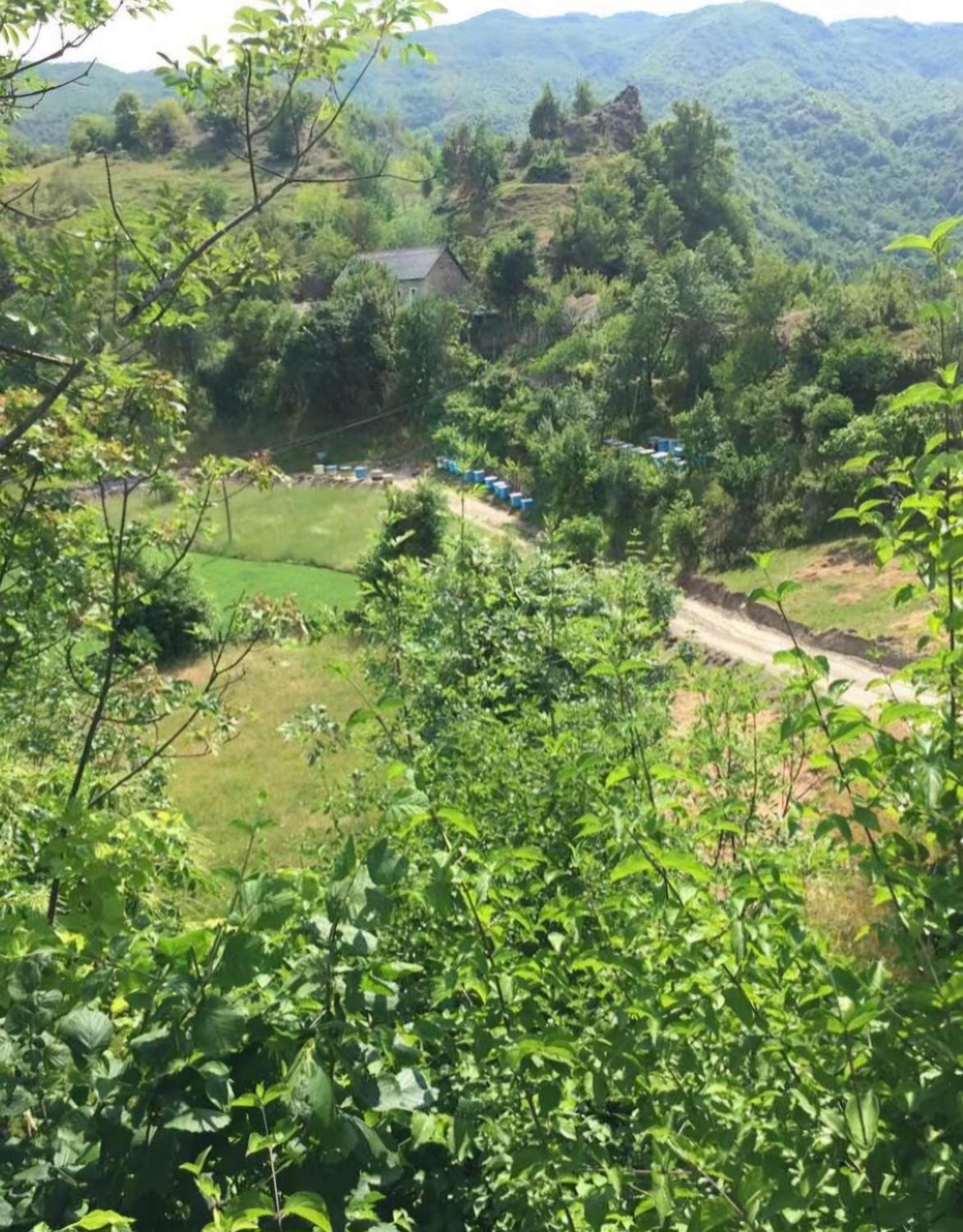Guesthouse Te Gezimi