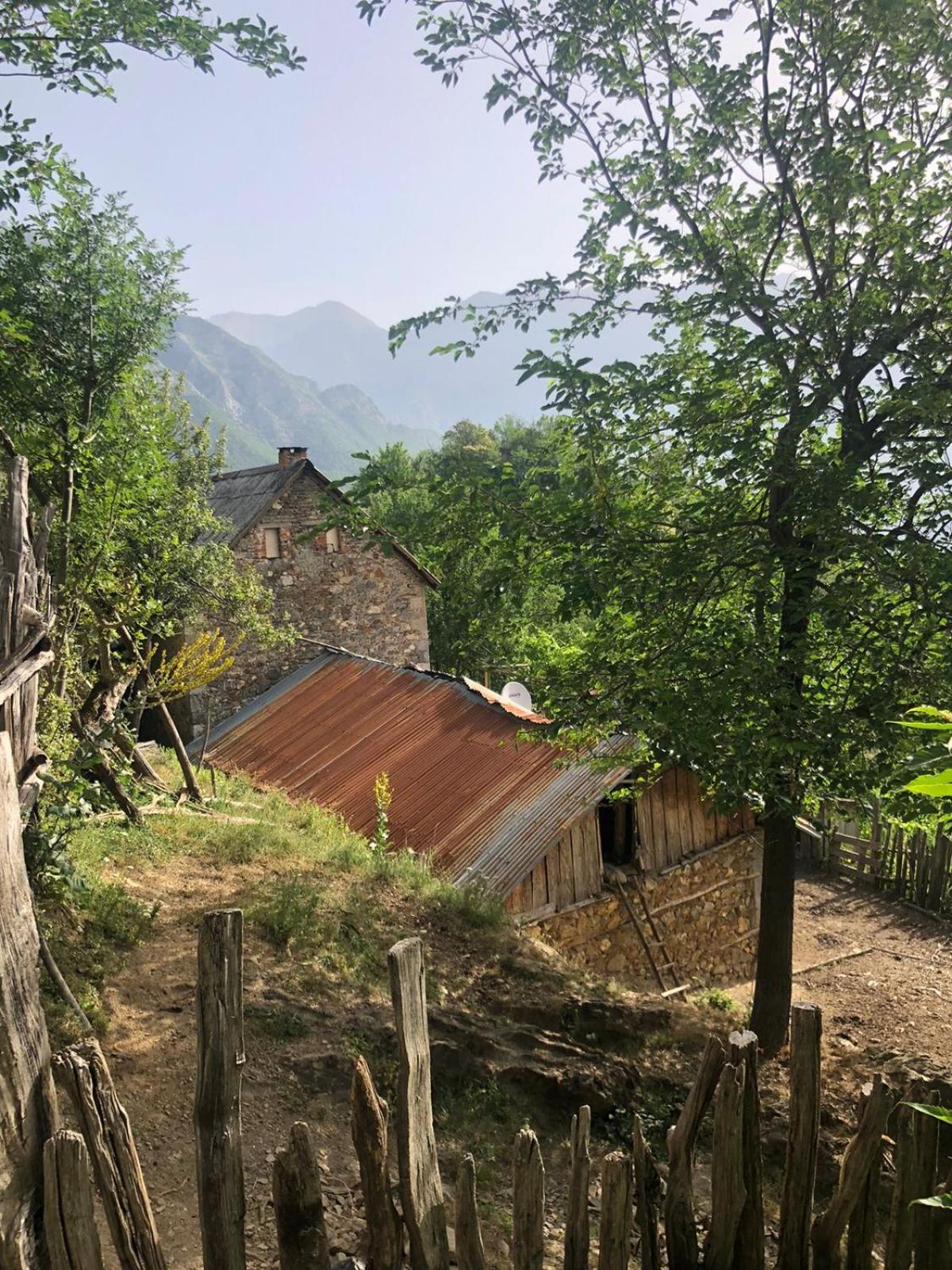 Guesthouse Te Gezimi