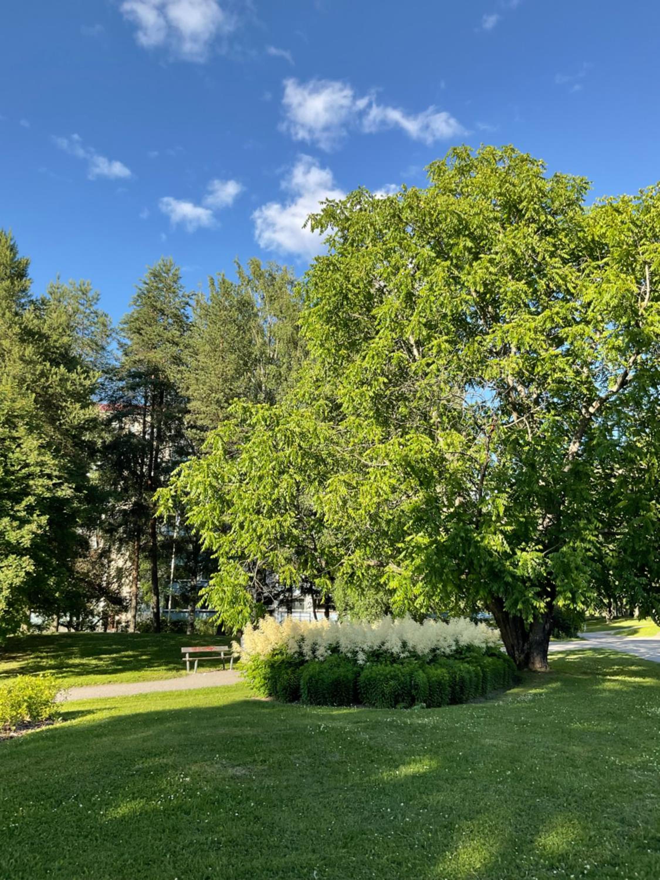 Retrohenkinen taiteilijakoti - Tampere Kaleva
