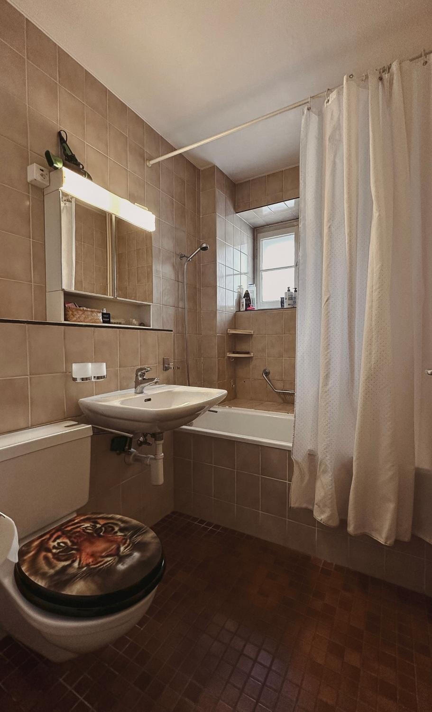 Montreux centre appartement spacieux