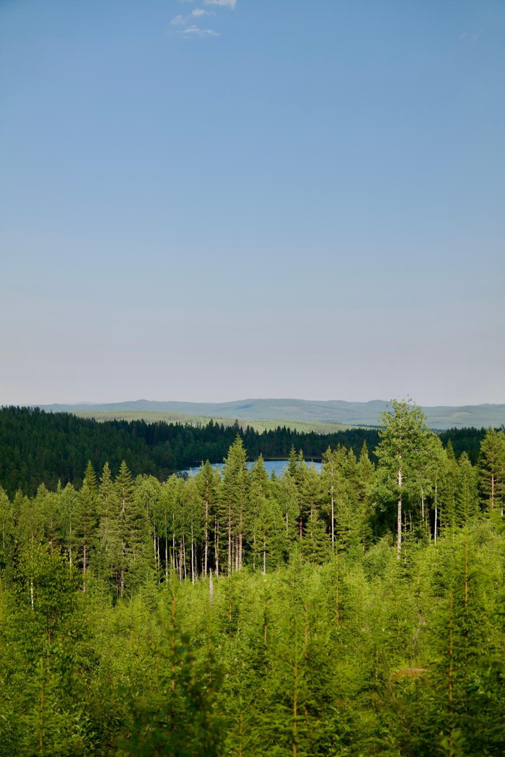 Photo 31