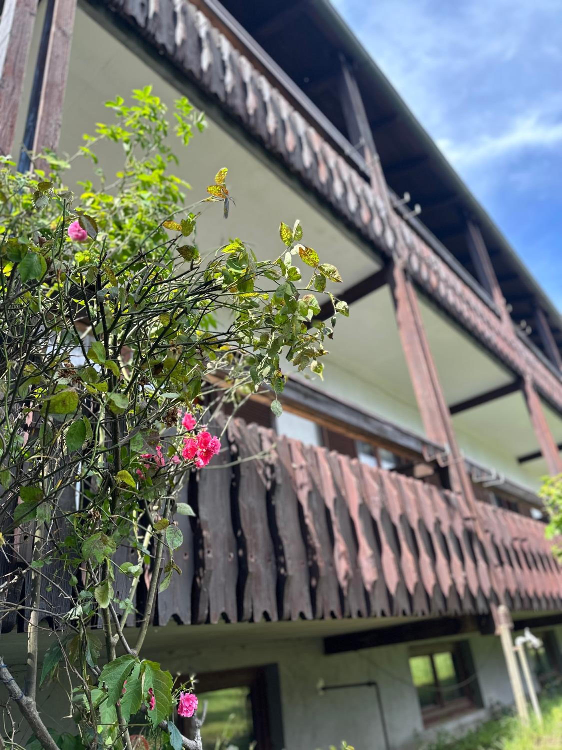 Fortuna - das Haus am Keutschacher See