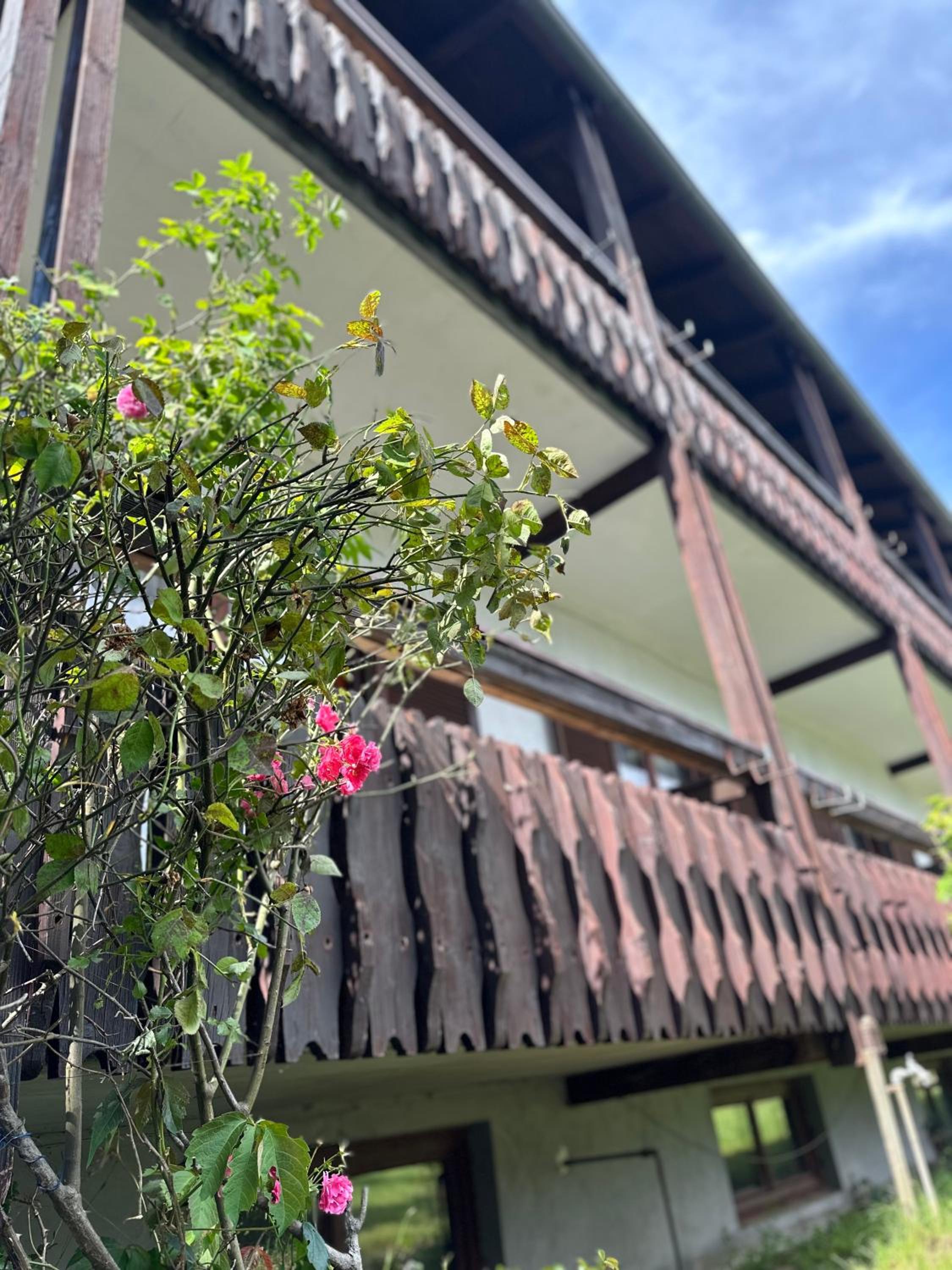 Fortuna - das Haus am Keutschacher See