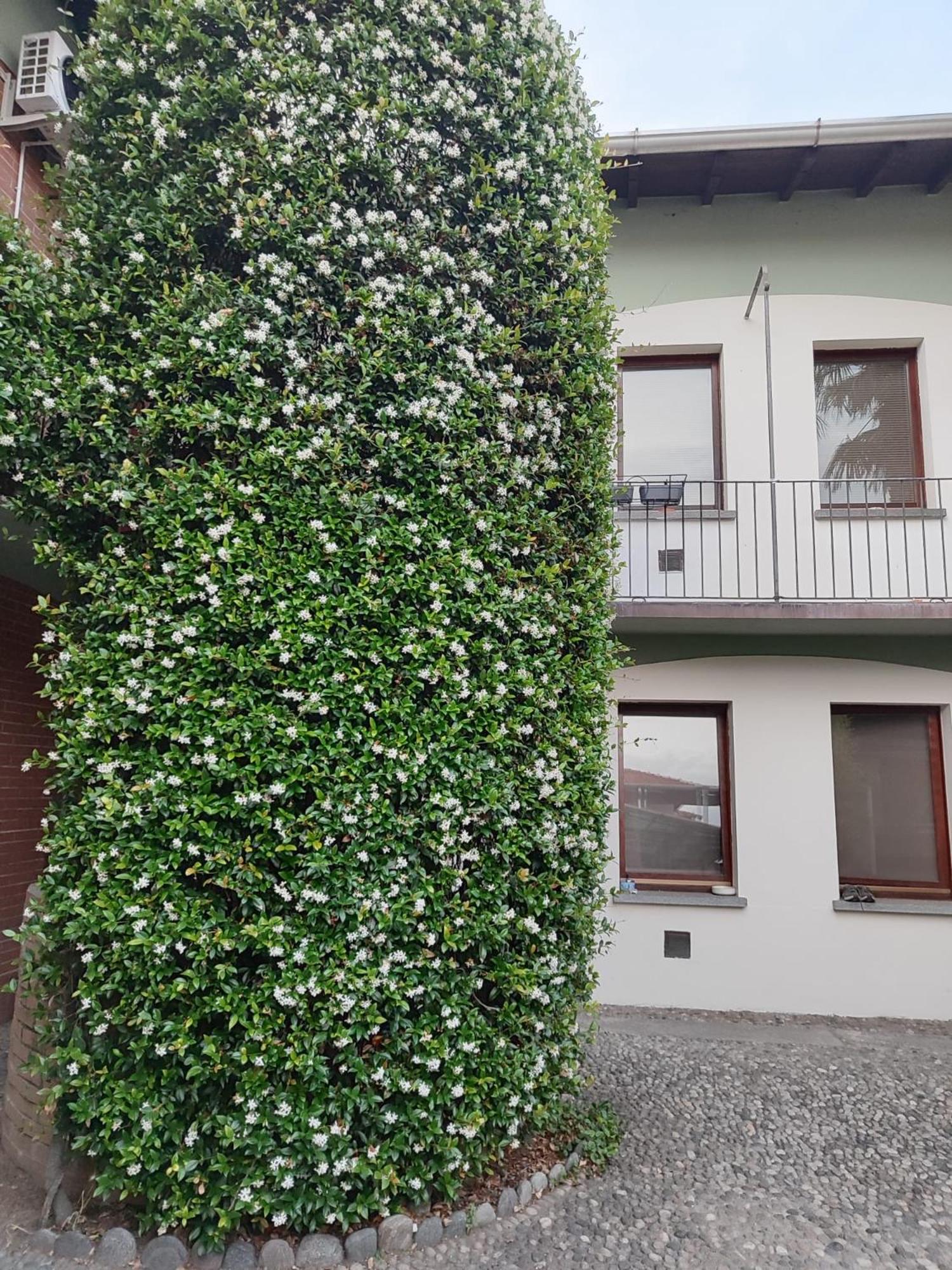 Casa vacanza il gelsomino