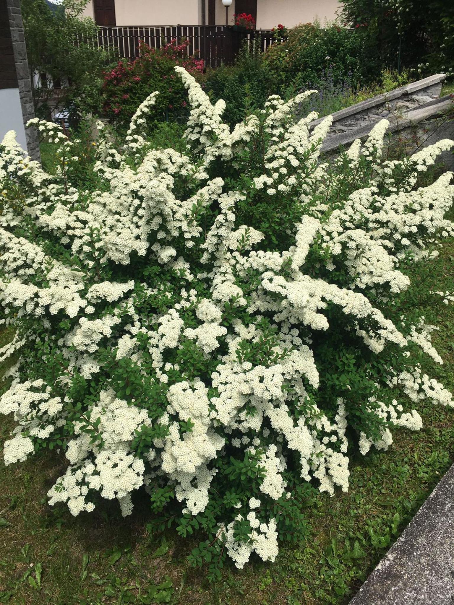 Villa Lucia appartamento Fiore view 2