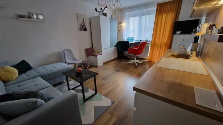 Heart of Trnava view 4