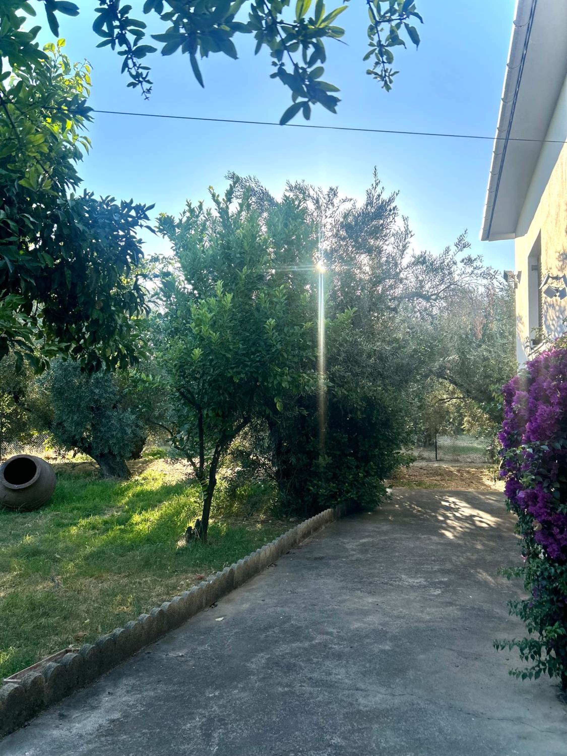 A casa d Irene view 5