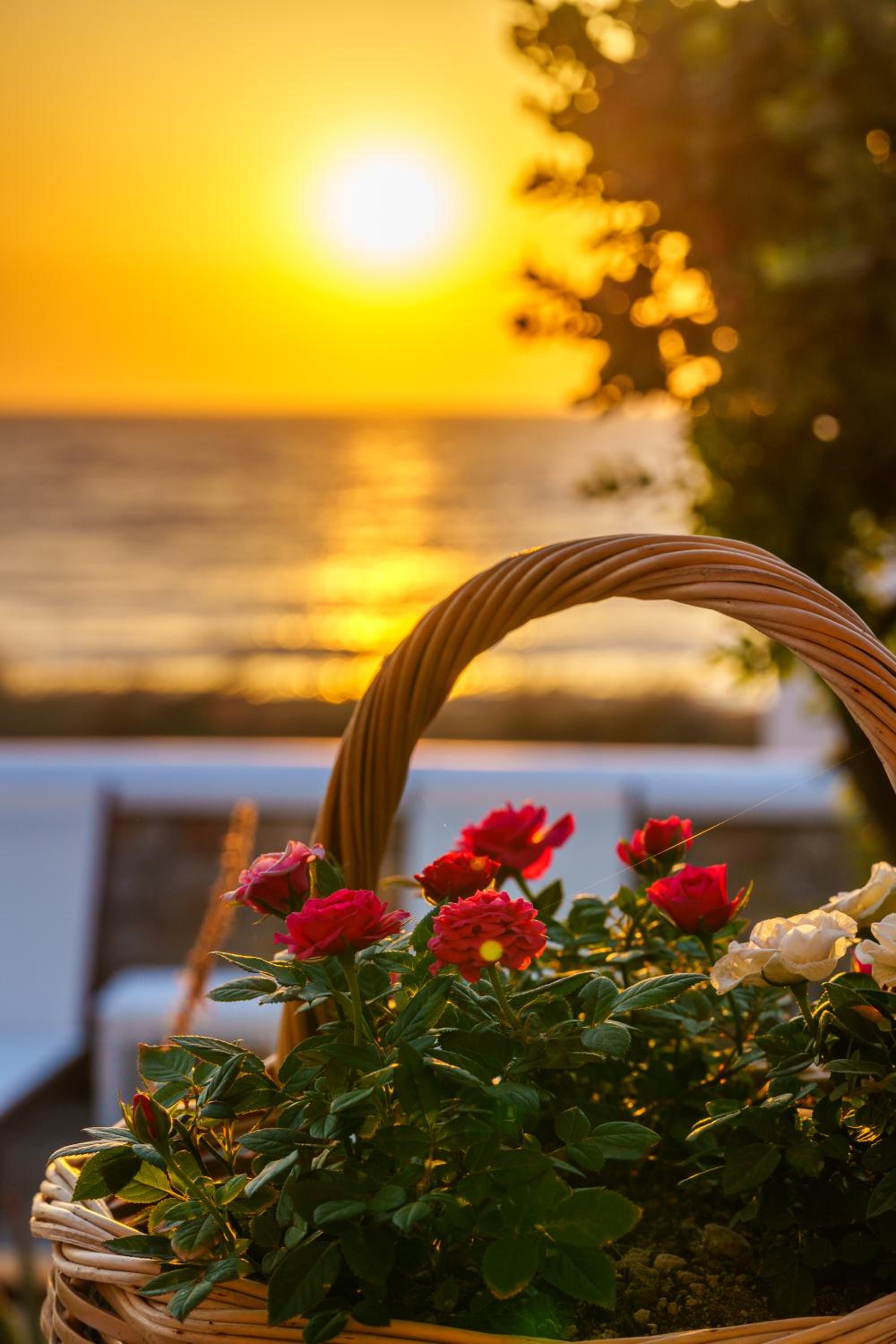 Blue Eyes Beach Villas view 3