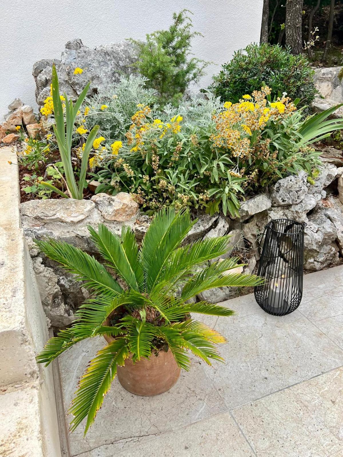 Villa Rosemary