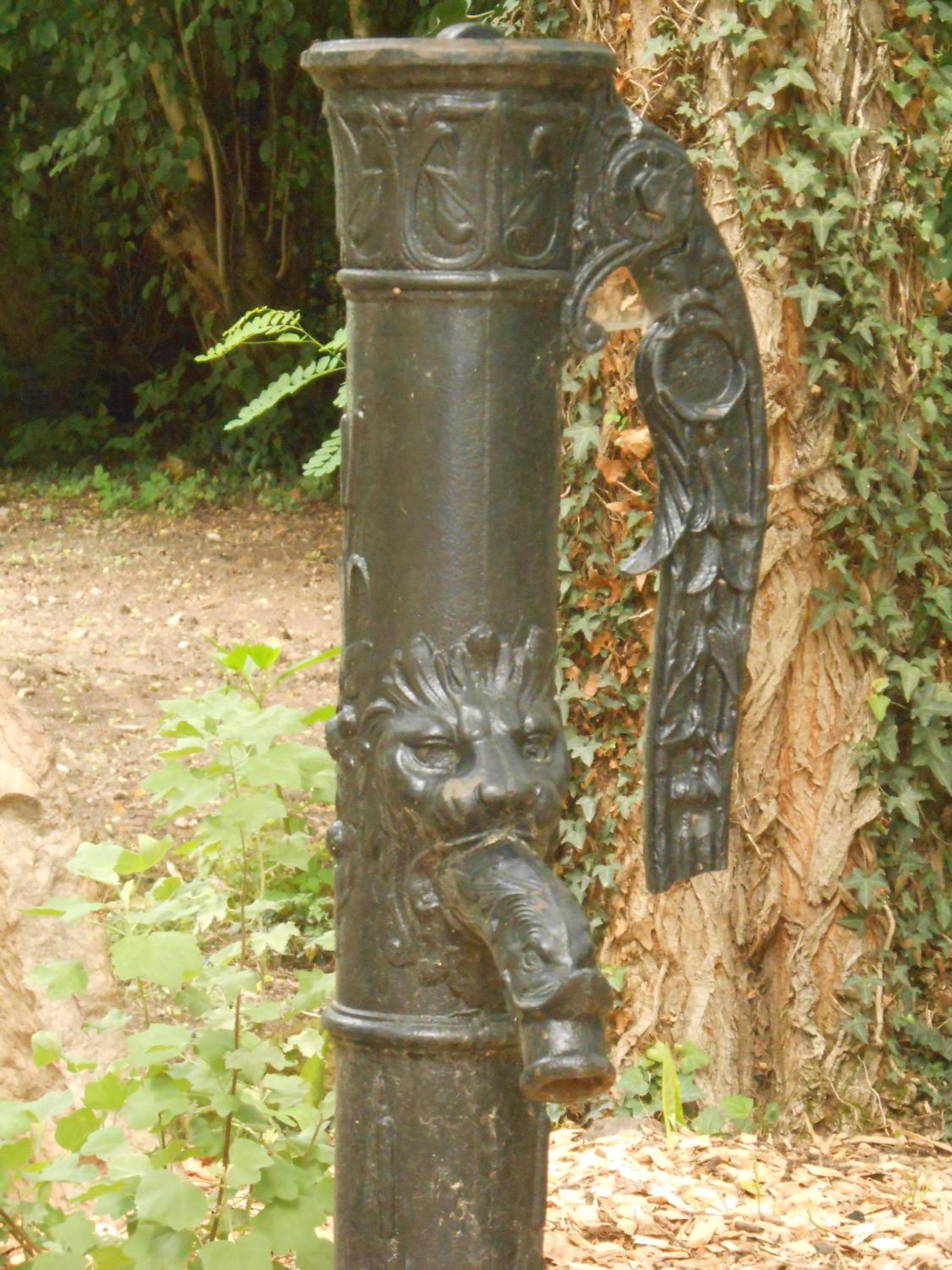 Photo 43
