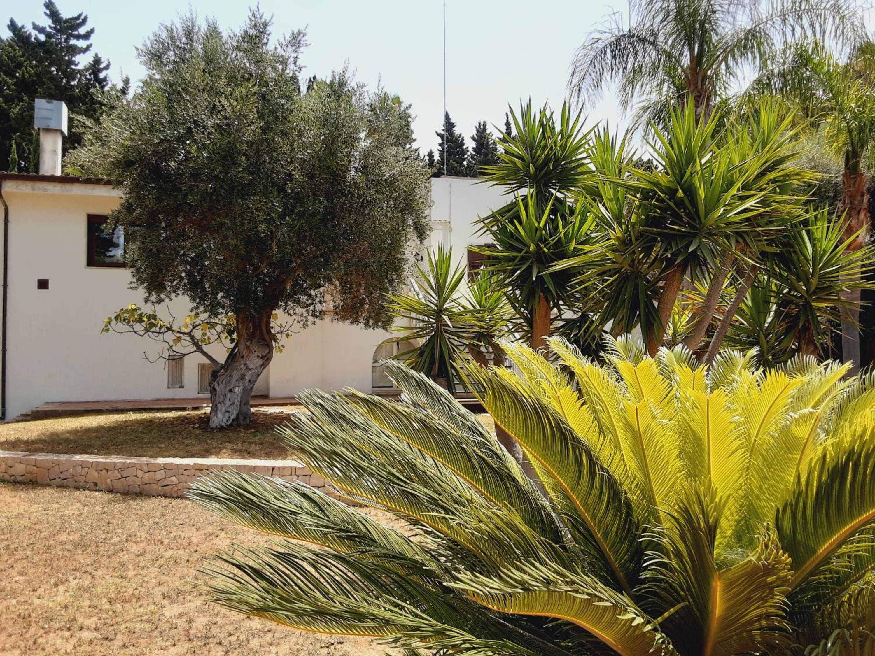 Photo 40