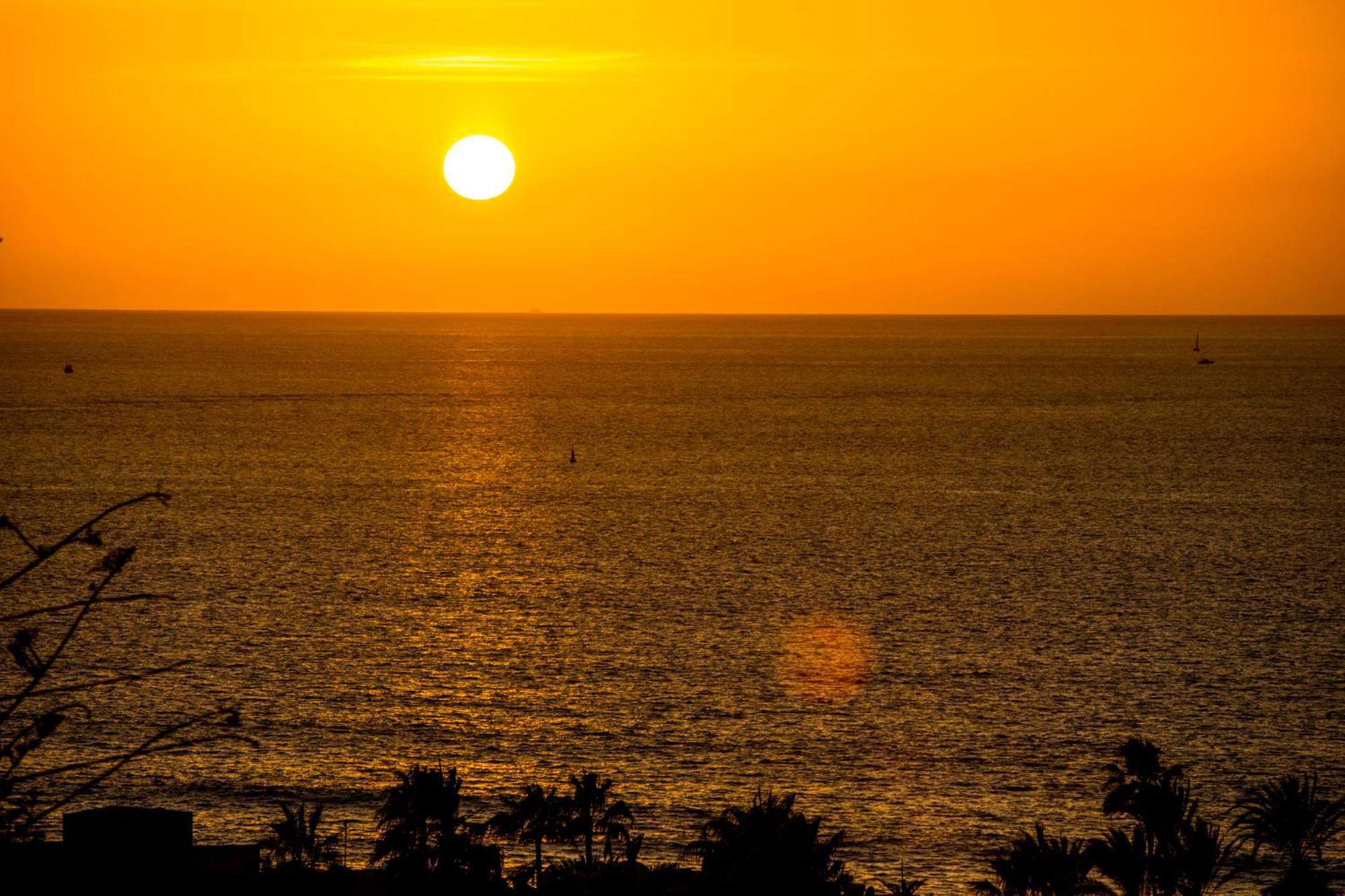 Ponderosa 619, Las Americas, 2 bedroom apartment with large terrace and ocean view, next to Siam Park view 4