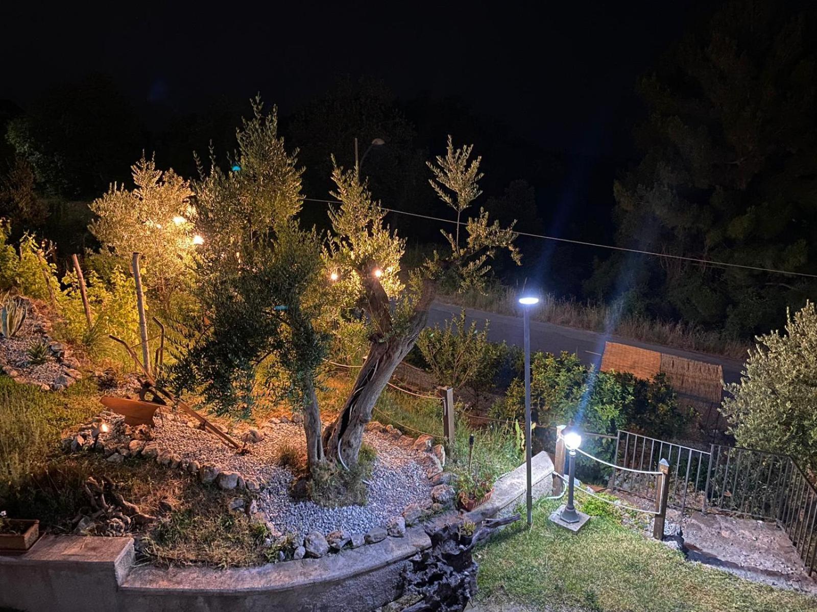 Photo 20