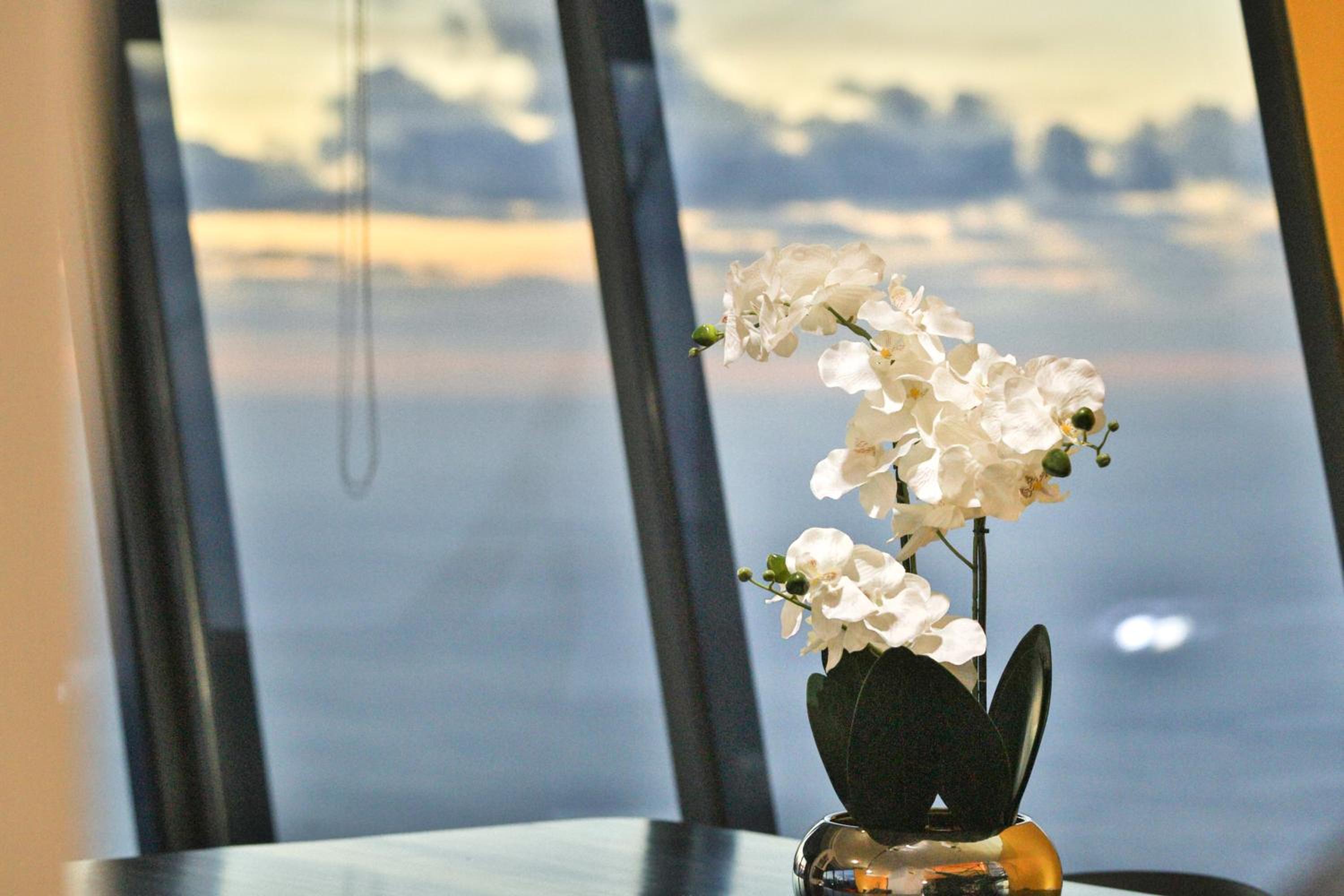 Villa Leonor Cliffside Retreat