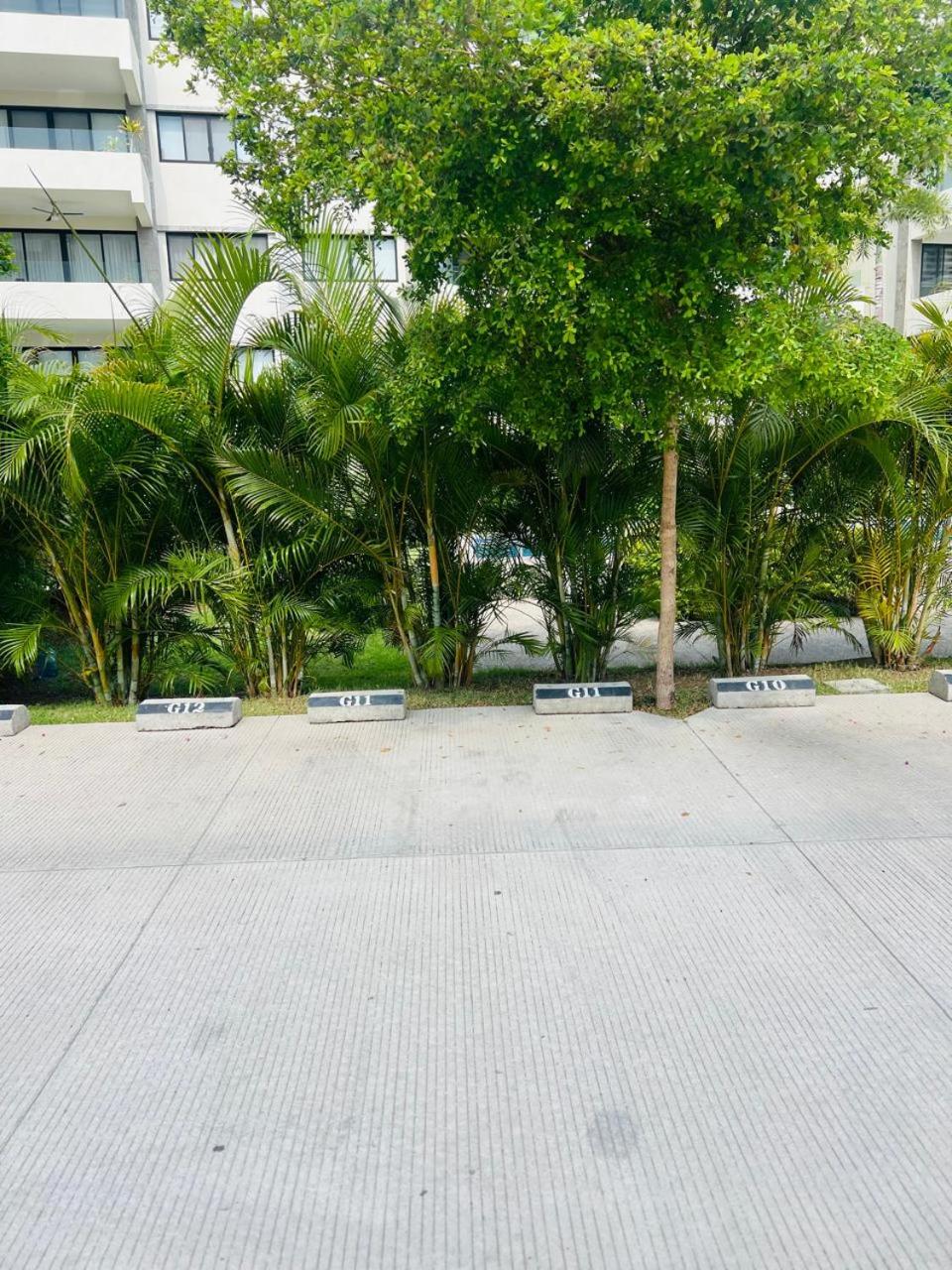 Departamento Residencial en Nuevo Vallarta, Nayarit, fotografía 4